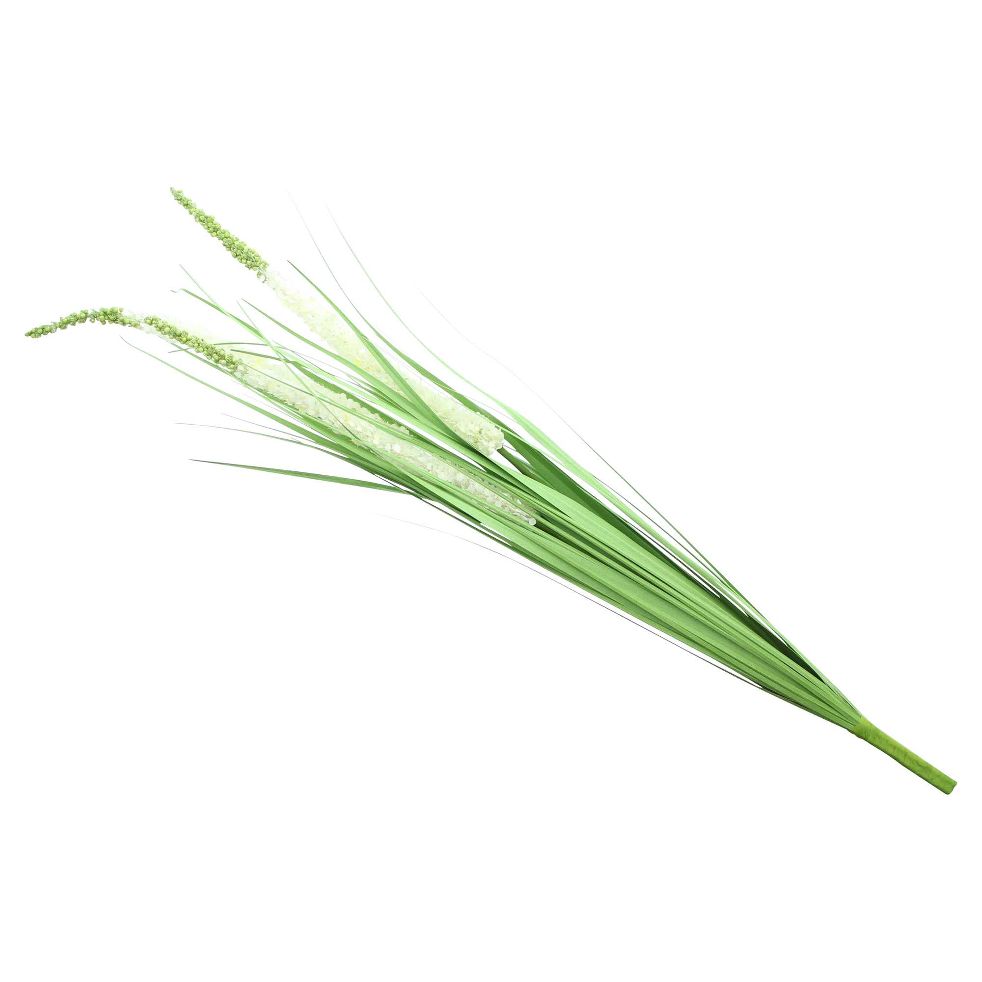 Acheter Palnte artificielle"érémurus"  dans la boutique en ligne de Frank Flechtwaren pour Plantes artificielles