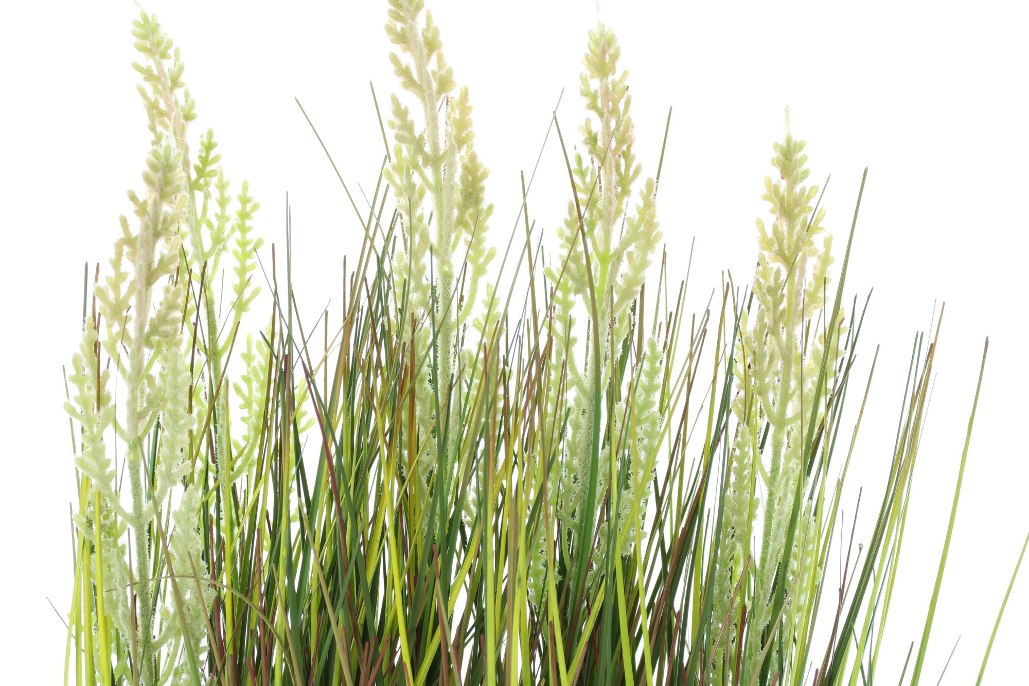 Acheter Herbe artificielle en pot  dans la boutique en ligne de Frank Flechtwaren pour Plantes artificielles