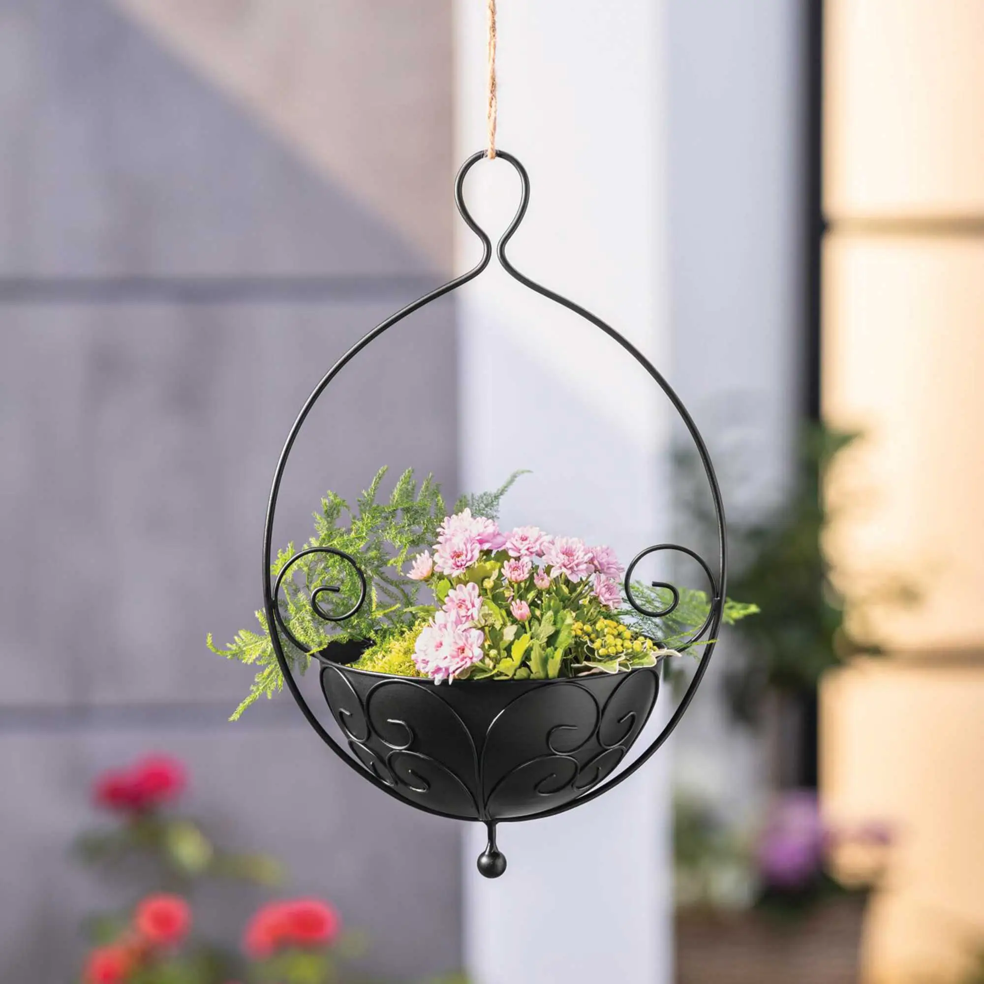 Acheter Suspension pour plantes "vrilles"  dans la boutique en ligne de Frank Flechtwaren