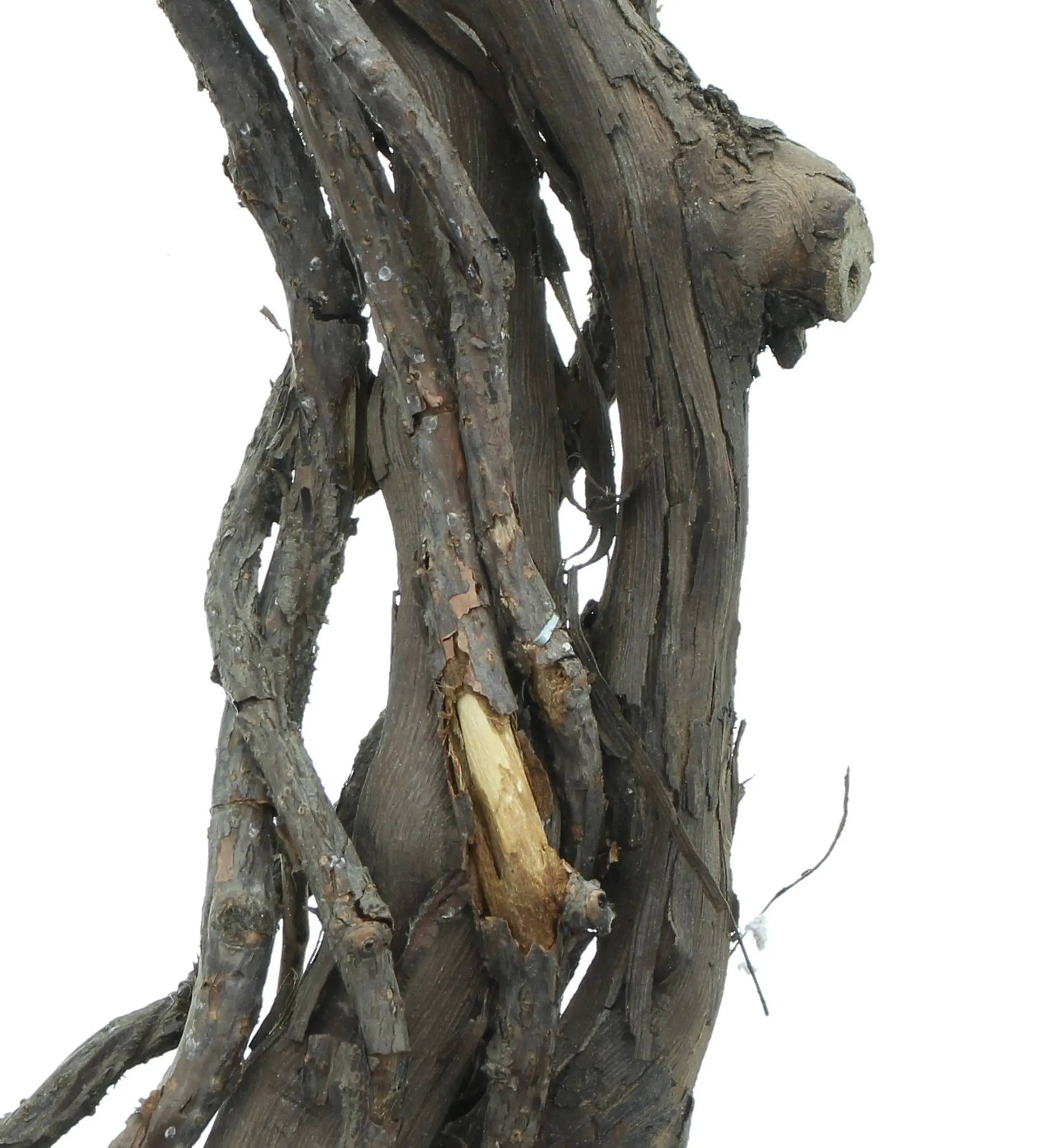Acheter Couronne "vigne"  dans la boutique en ligne de Frank Flechtwaren pour Pâques
