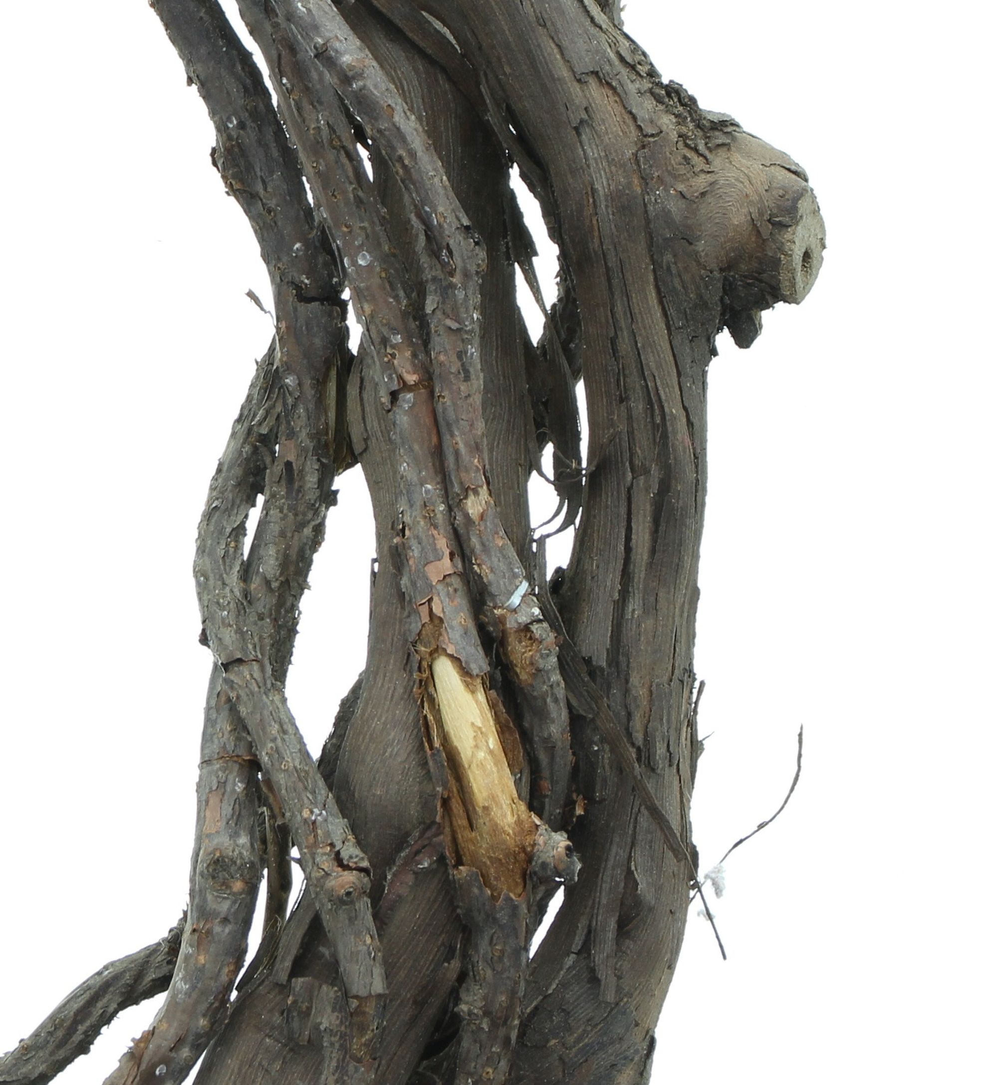 Acheter Couronne "vigne"  dans la boutique en ligne de Frank Flechtwaren pour Pâques