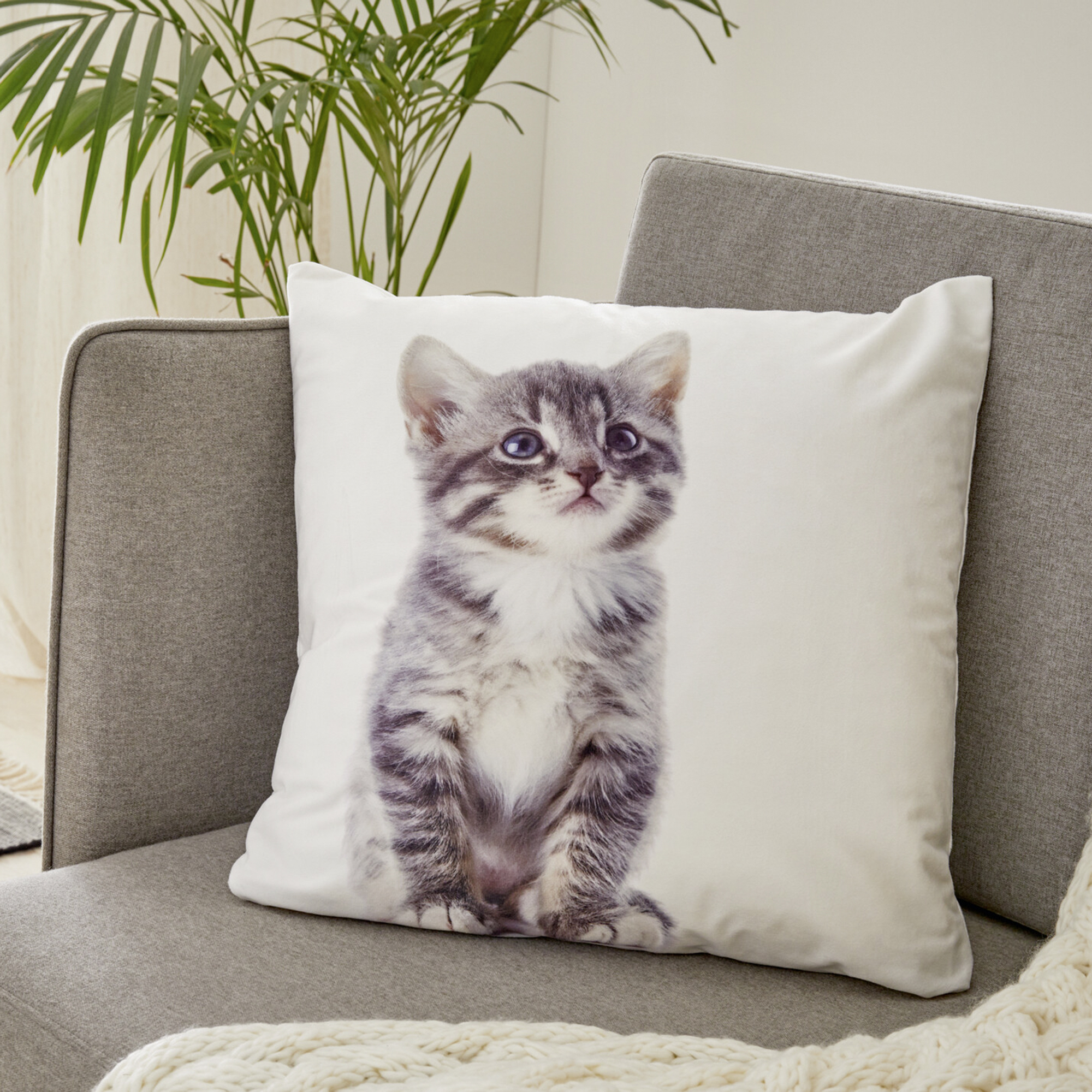 Acheter Housse de coussin "Kitty"  dans la boutique en ligne de Frank Flechtwaren