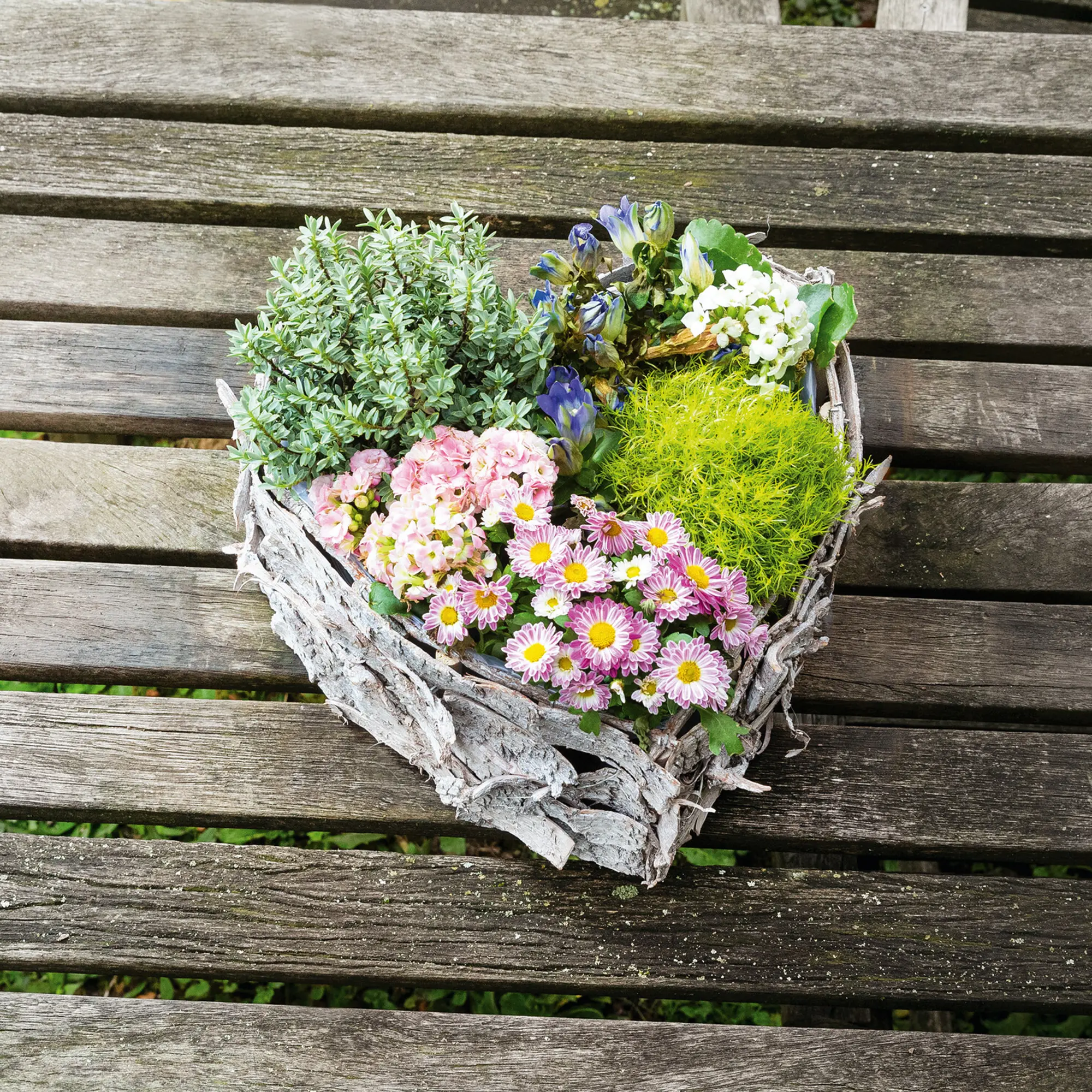 Acheter Jardinière en forme de coeur "écorce de bouleau"  dans la boutique en ligne de Frank Flechtwaren