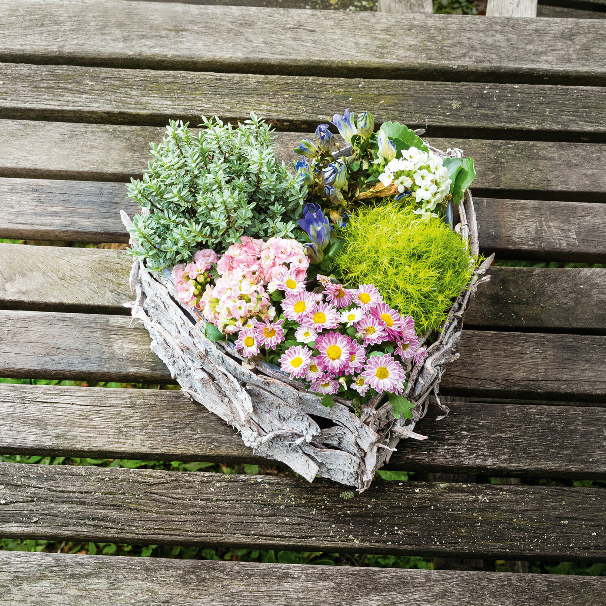 Acheter Jardinière en forme de coeur "écorce de bouleau"  dans la boutique en ligne de Frank Flechtwaren