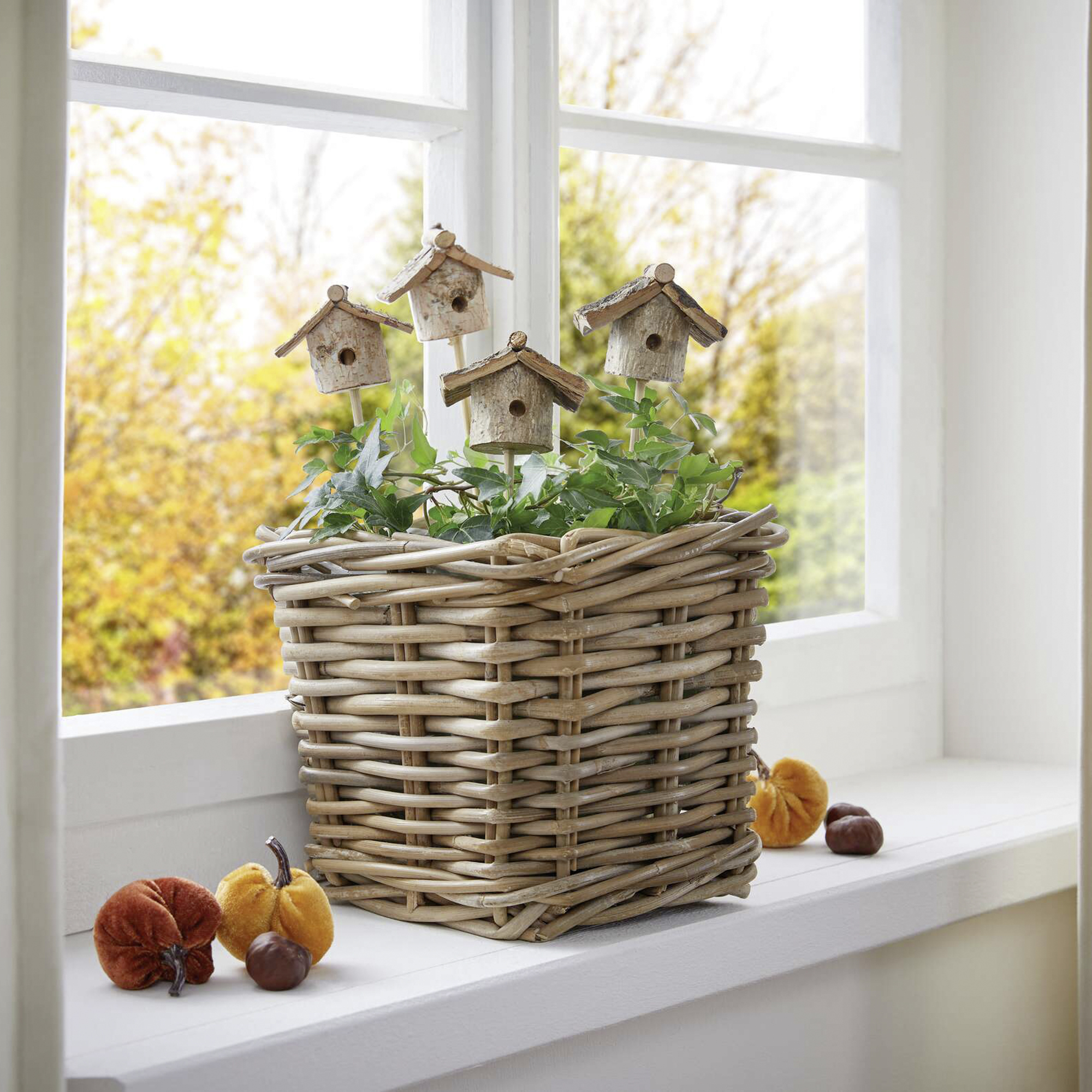 Acheter Lot de 4 piques "maisonnette"  dans la boutique en ligne de Frank Flechtwaren