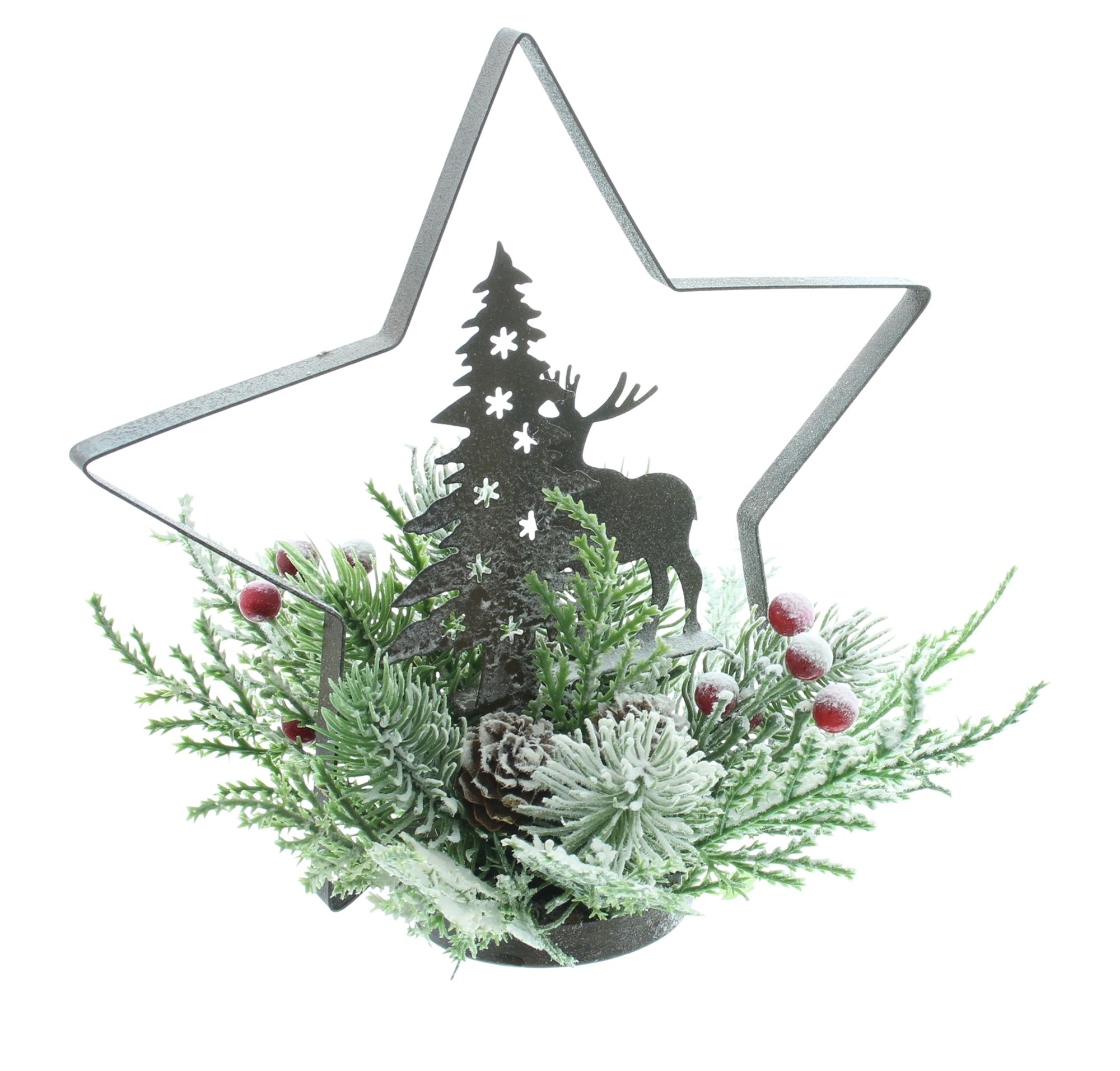 Acheter Étoile "cerf &amp; sapin"  dans la boutique en ligne de Frank Flechtwaren pour Étoiles