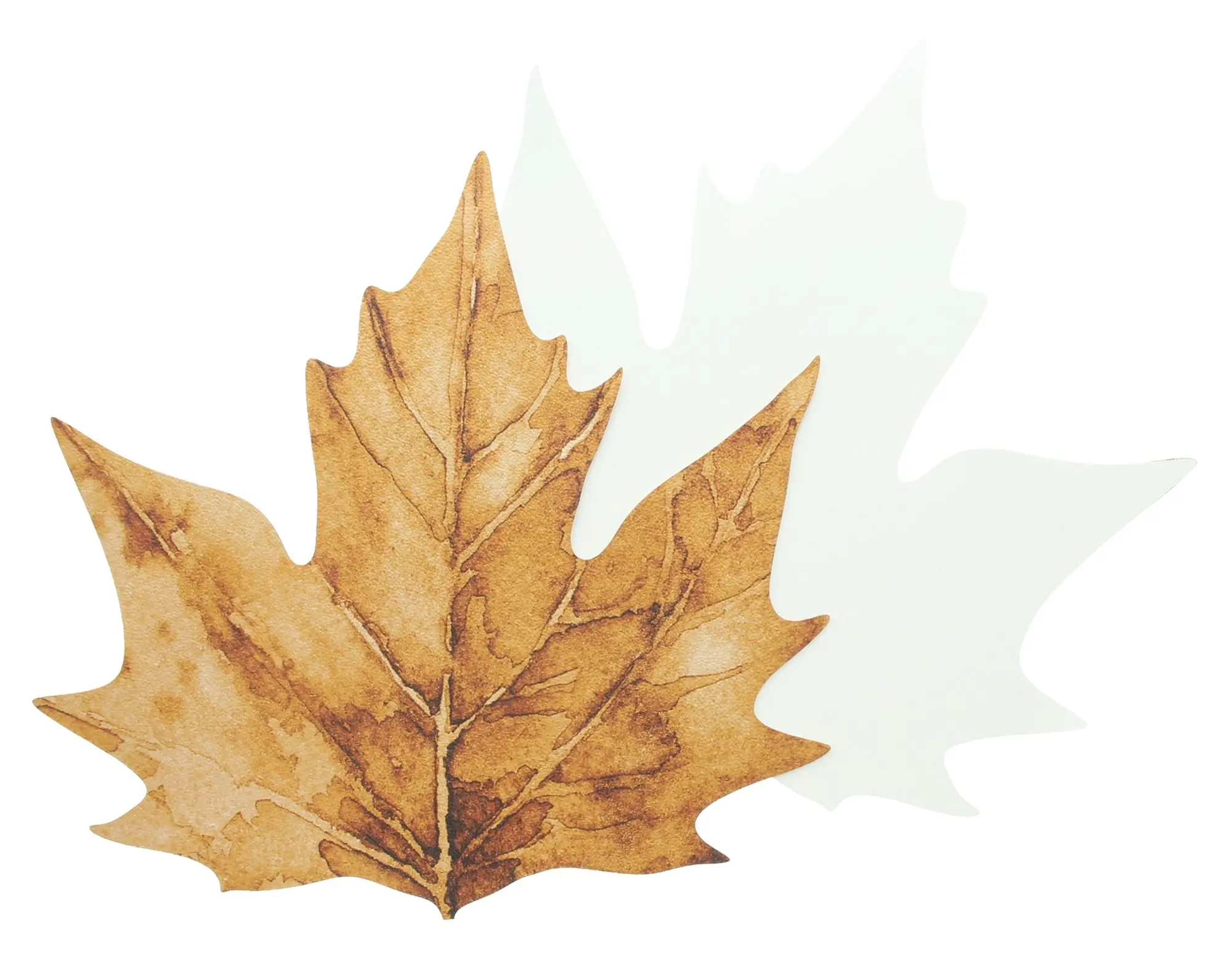 Acheter Set de table « Maple Leave », lot de 2 dans la boutique en ligne de Frank Flechtwaren pour Promenade en forêt