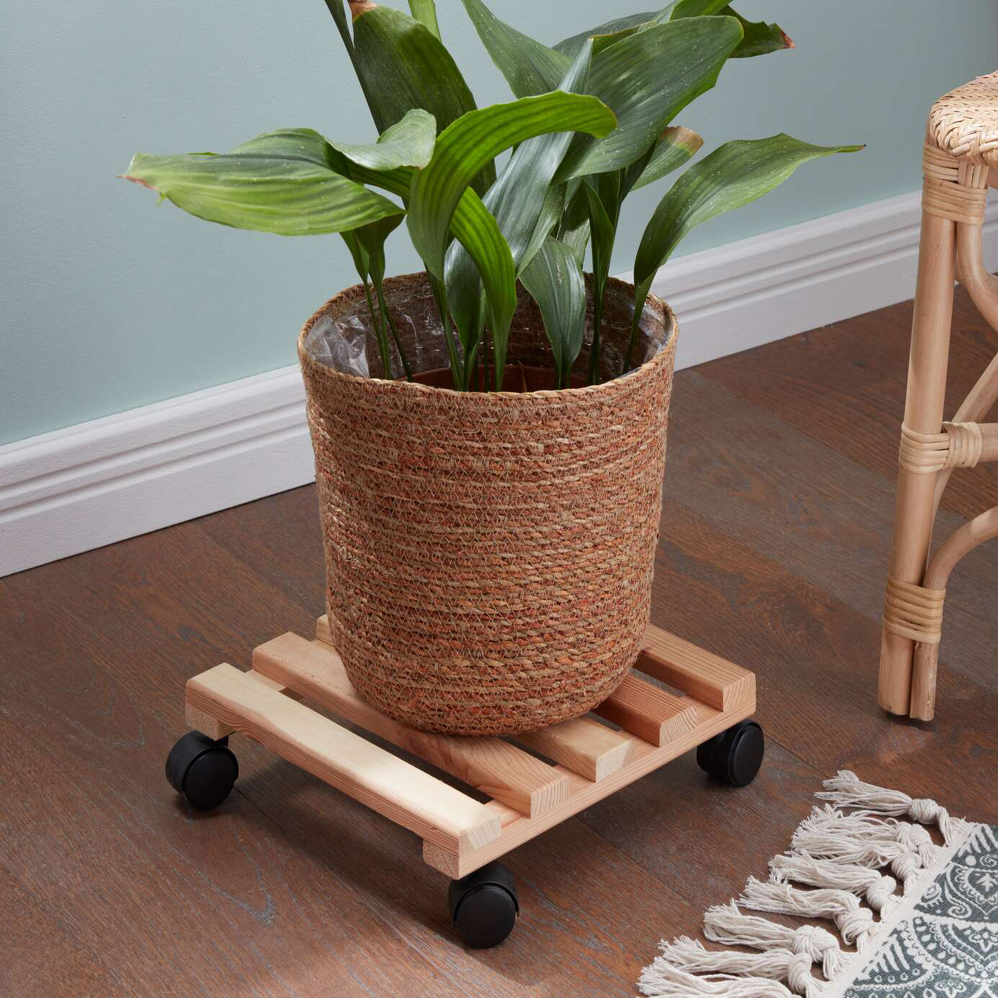 Acheter Porte plantes à roulettes "nature"  dans la boutique en ligne de Frank Flechtwaren