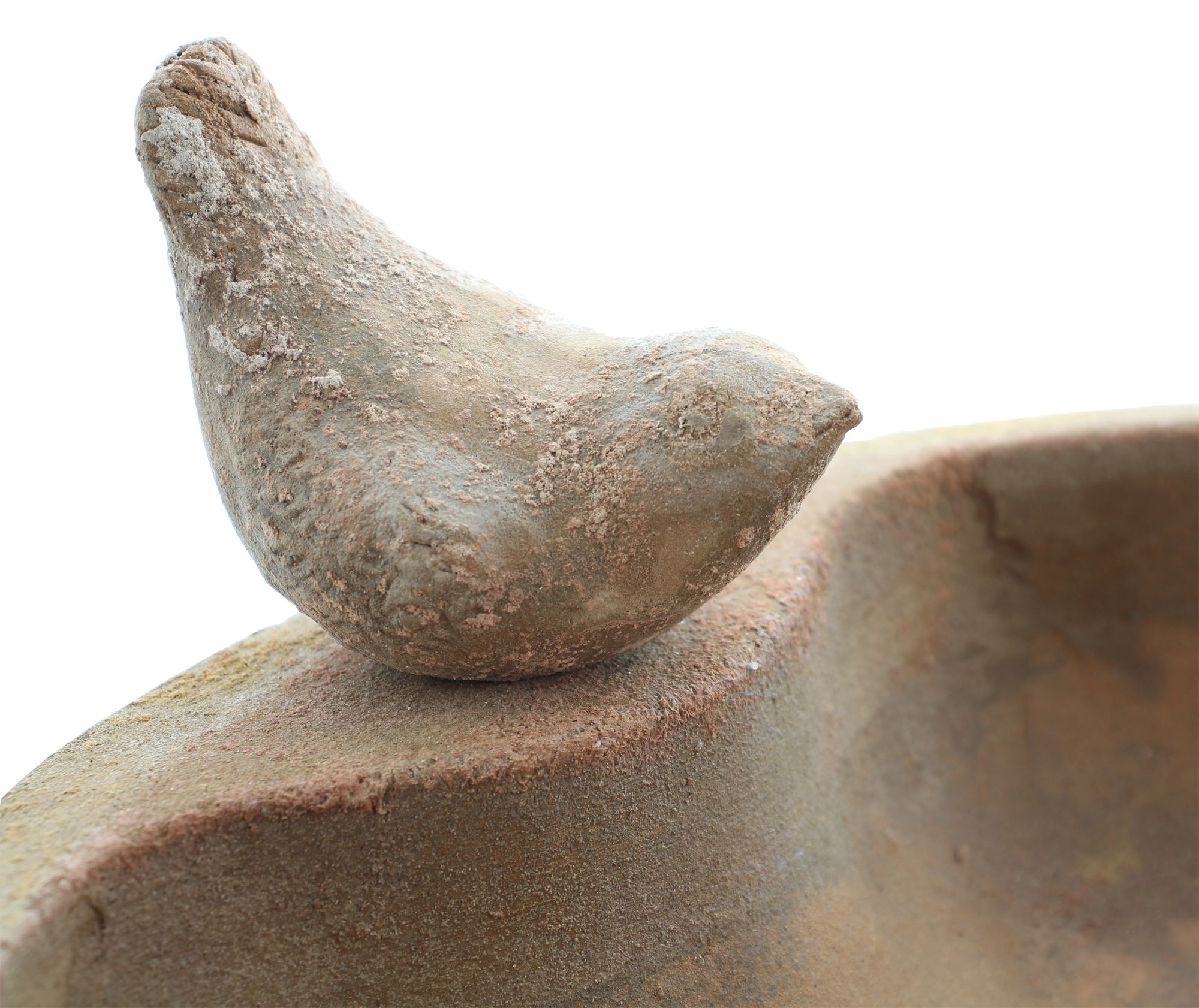 Acheter Abreuvoir oiseaux "terre cuite" dans la boutique en ligne de Frank Flechtwaren pour Automne Acheter Abreuvoir oiseaux "terre cuite" dans la boutique en ligne de Frank Flechtwaren pour Automne