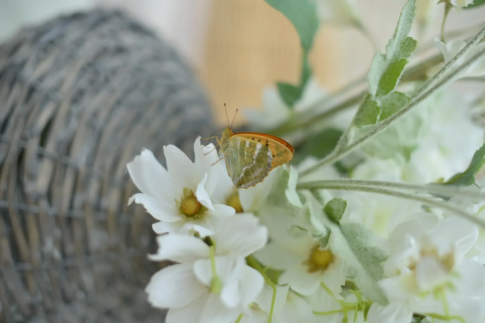 Décoration florale : papillon orange sur des fleurs blanches, une décoration estivale naturelle