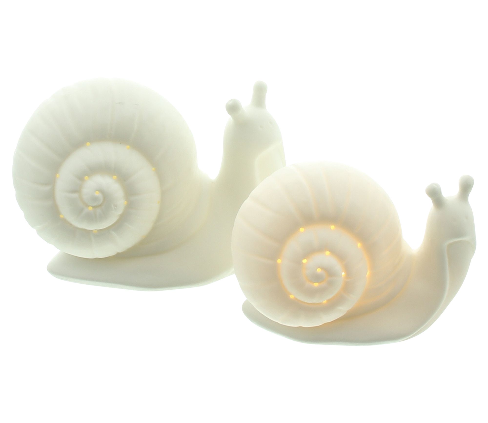 Acheter Lot de 2 escargots LED "White" dans la boutique en ligne de Frank Flechtwaren pour Figurines décoratives Acheter Lot de 2 escargots LED "White" dans la boutique en ligne de Frank Flechtwaren pour Figurines décoratives