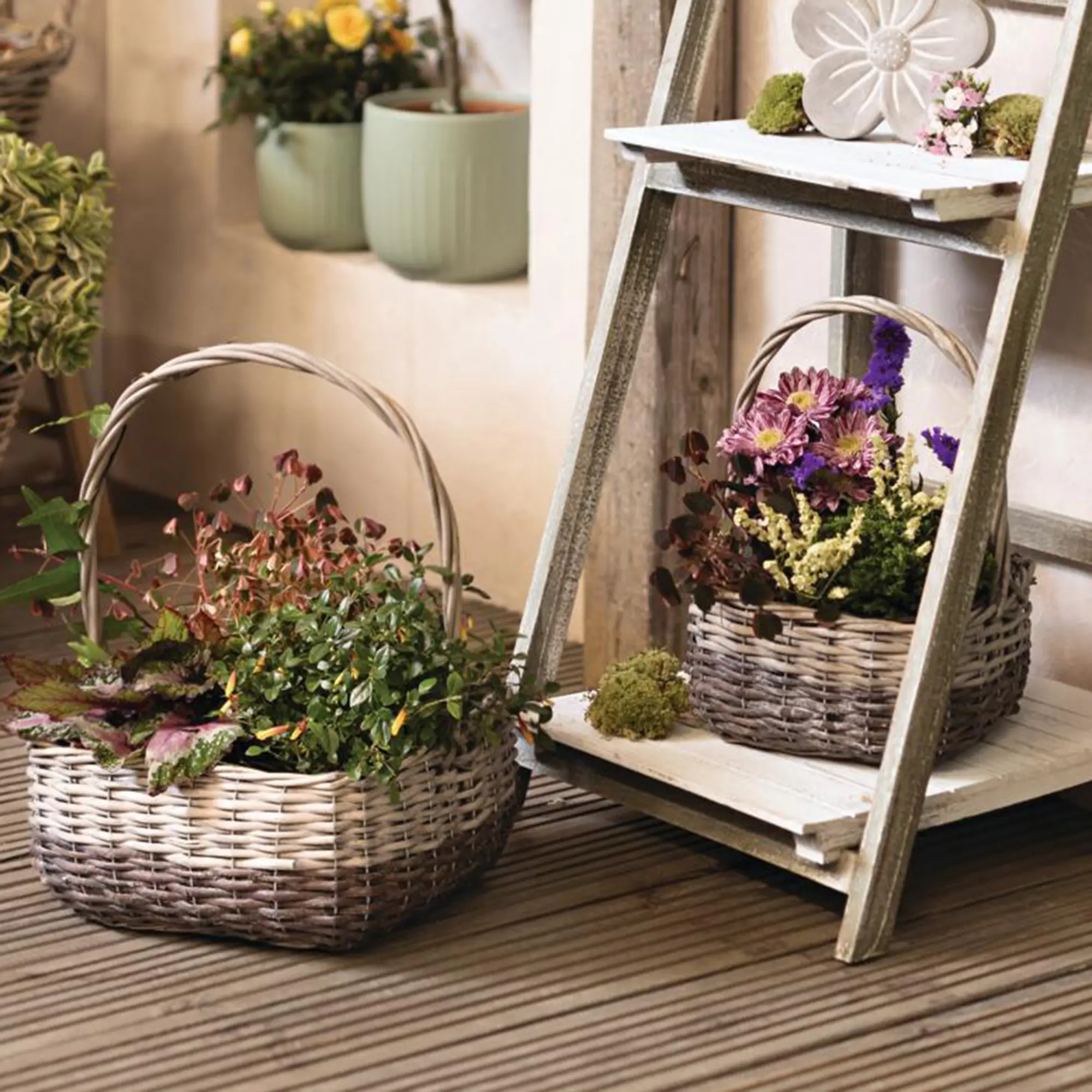 Acheter Lot de 2 paniers à plantes "Saule gris"  dans la boutique en ligne de Frank Flechtwaren