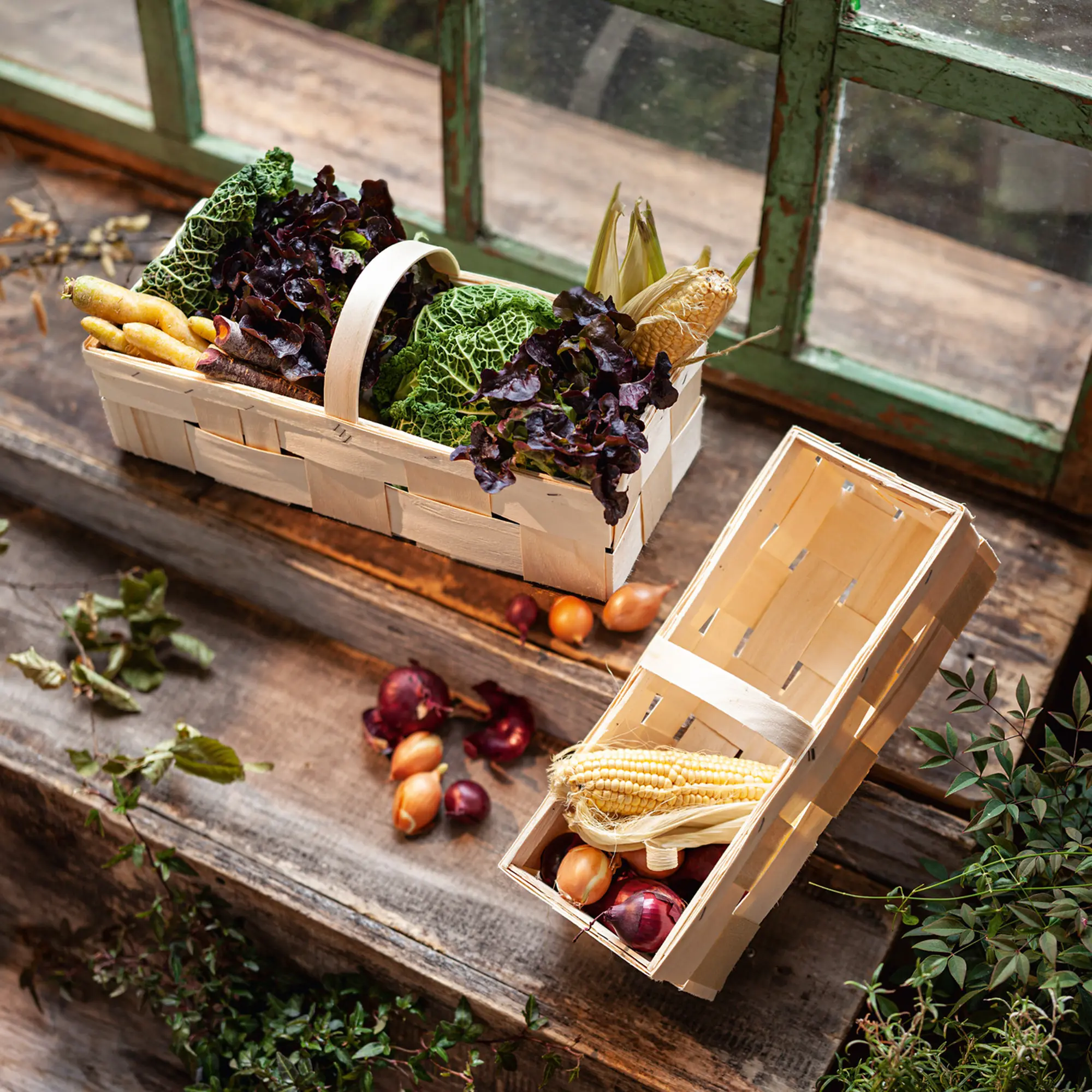 Acheter Panier à fruits, GM  dans la boutique en ligne de Frank Flechtwaren
