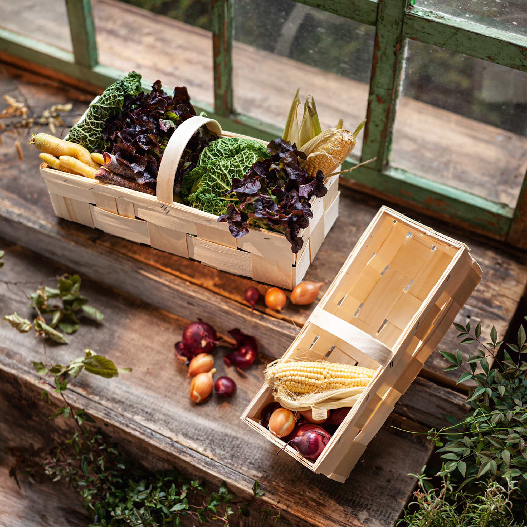 Acheter Panier à fruits, GM  dans la boutique en ligne de Frank Flechtwaren