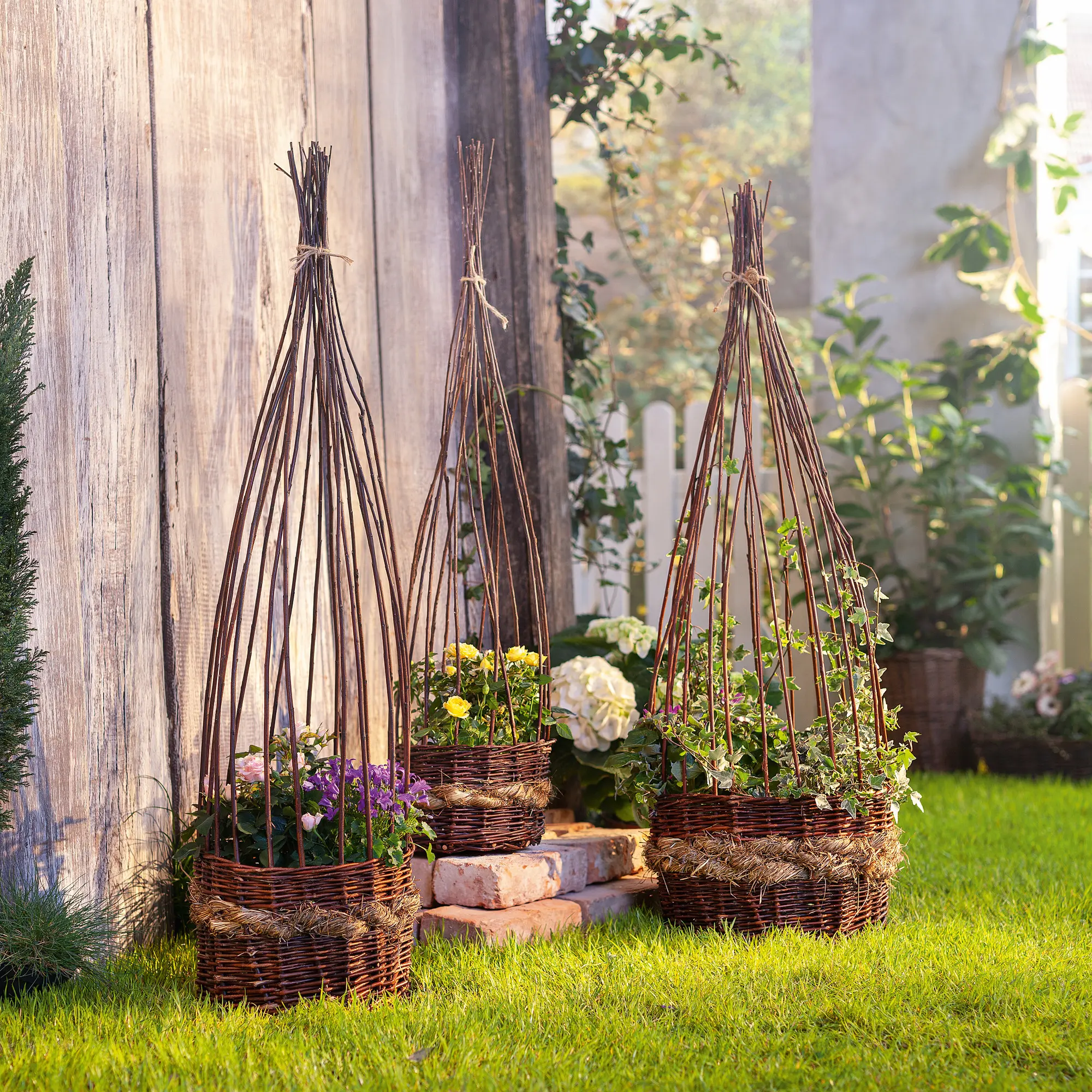 Acheter Lot de 3 corbeilles à plantes "nature"  dans la boutique en ligne de Frank Flechtwaren