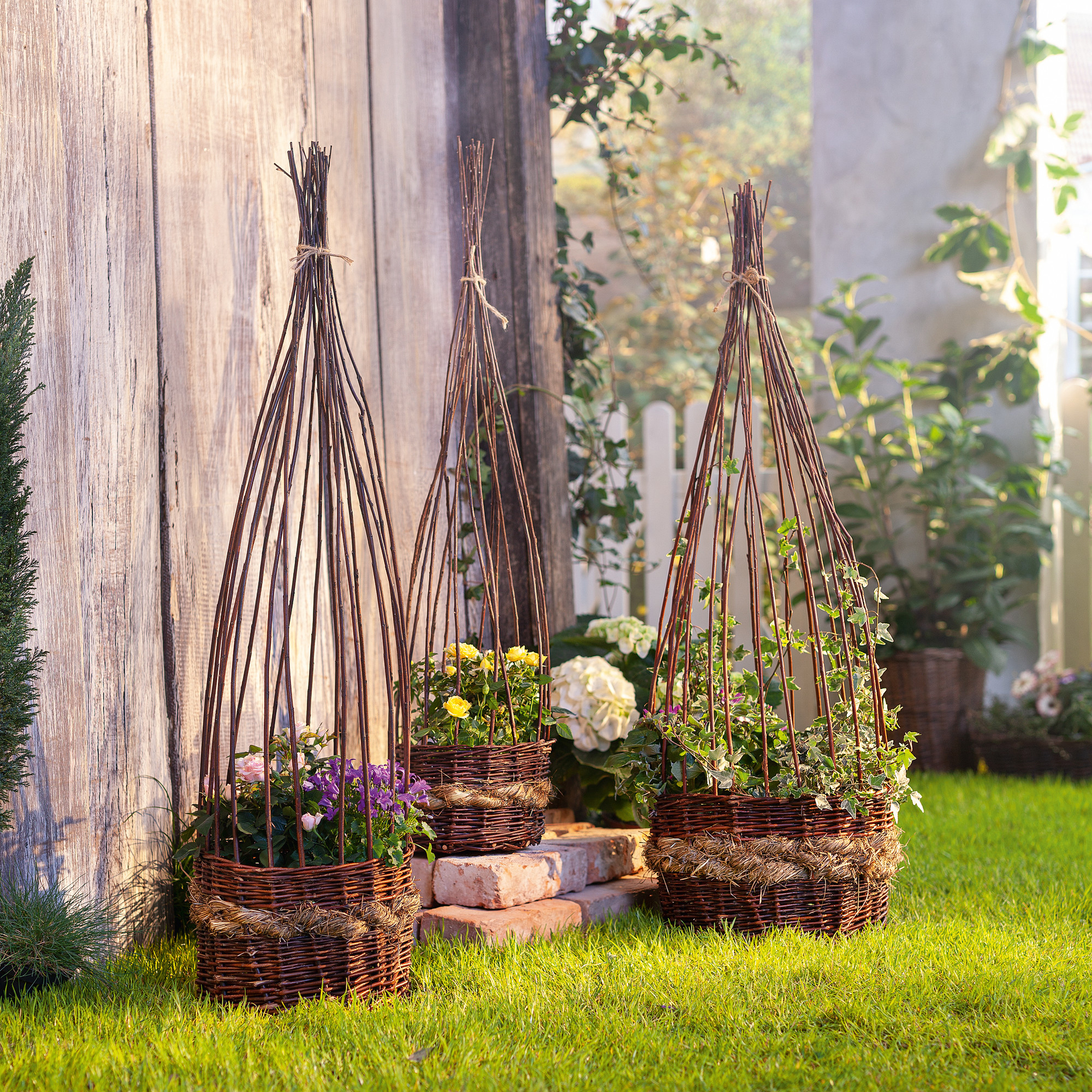 Acheter Lot de 3 corbeilles à plantes "nature"  dans la boutique en ligne de Frank Flechtwaren