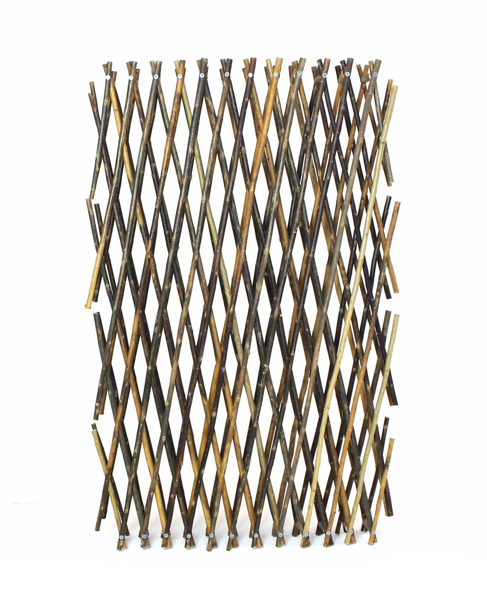 Acheter Clôture en osier "accordéon"  dans la boutique en ligne de Frank Flechtwaren pour Treillis &amp; arceaux
