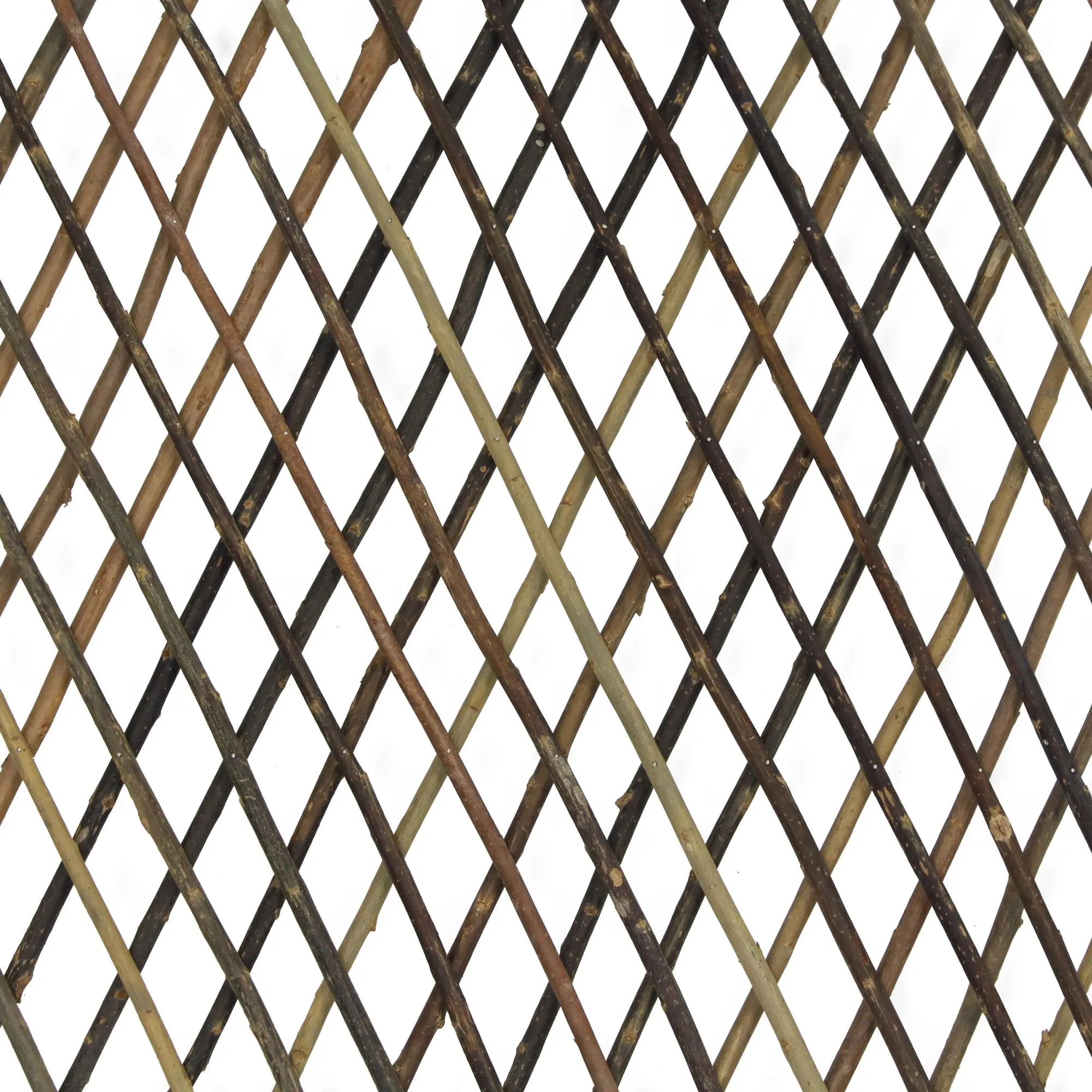 Acheter Treillis, extensible  dans la boutique en ligne de Frank Flechtwaren pour Treillis &amp; arceaux