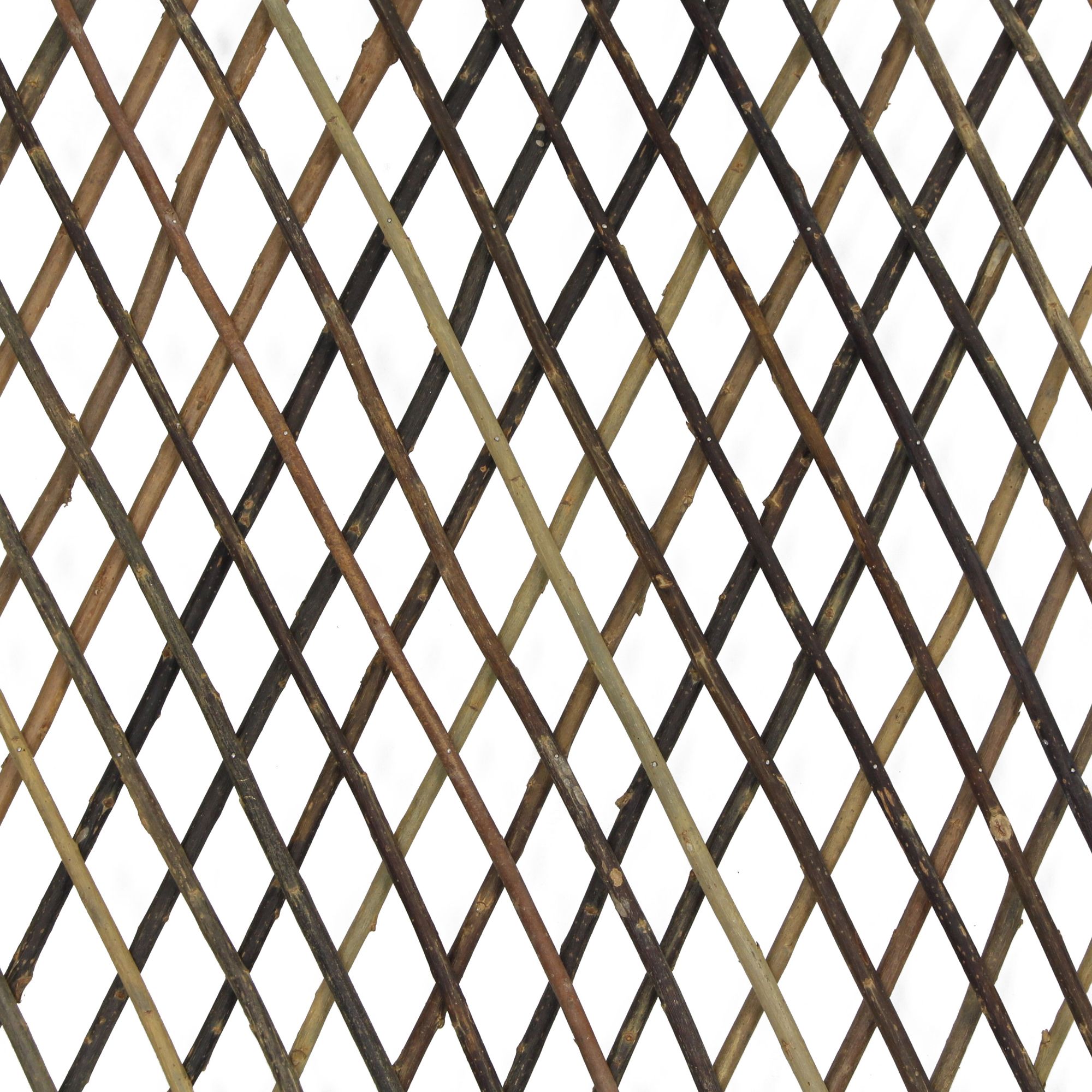 Acheter Treillis, extensible dans la boutique en ligne de Frank Flechtwaren pour Treillis & arceaux Acheter Treillis, extensible dans la boutique en ligne de Frank Flechtwaren pour Treillis & arceaux