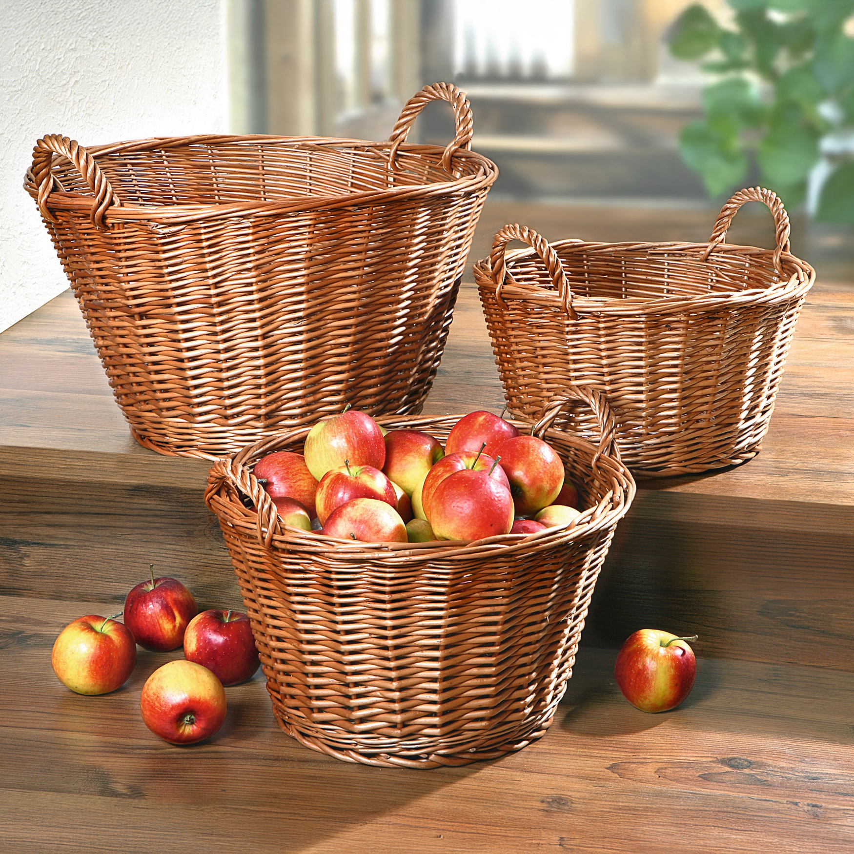 Acheter Corbeille "nature", GM  dans la boutique en ligne de Frank Flechtwaren