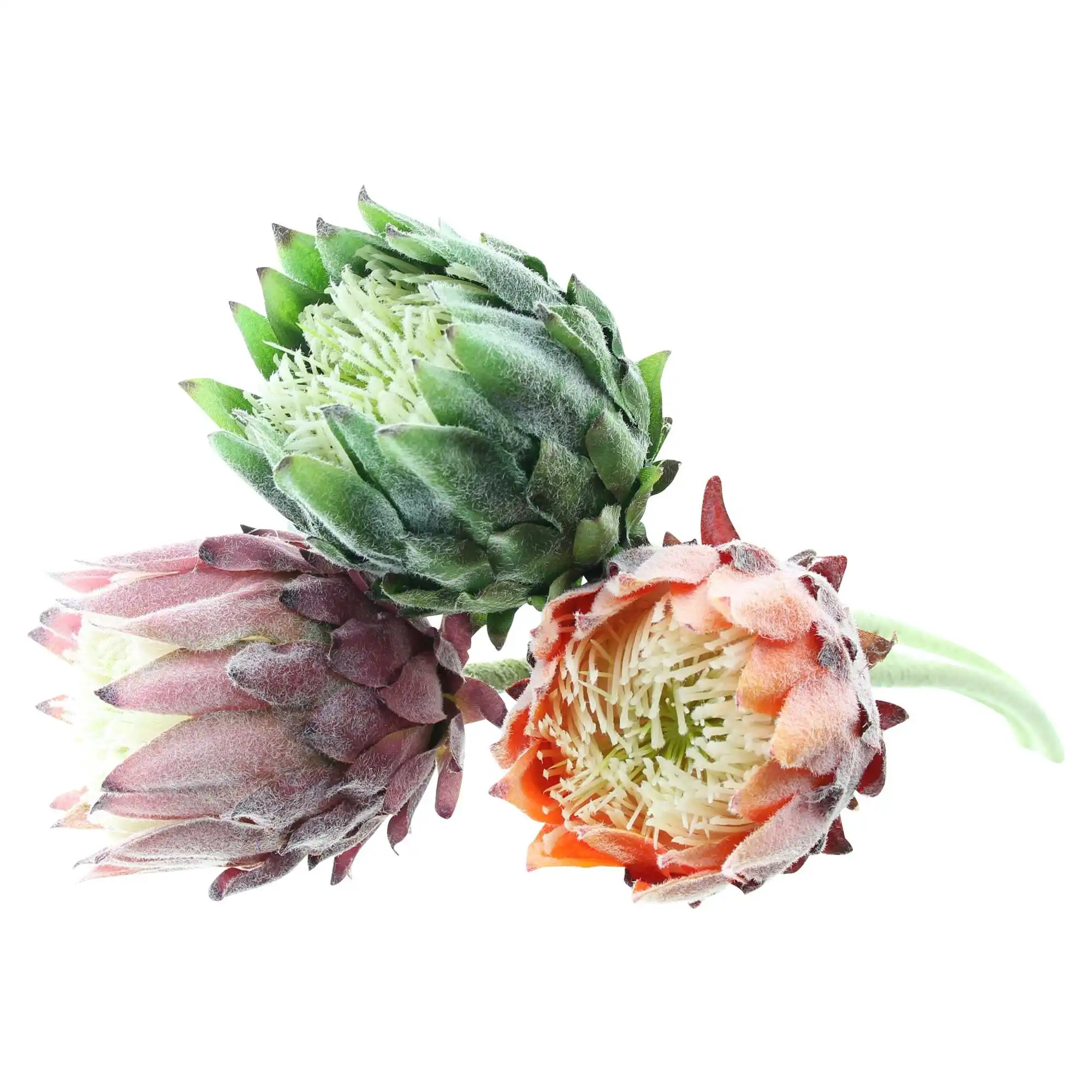 Acheter Lot de 3 fleurs "protea" dans la boutique en ligne de Frank Flechtwaren pour Plantes artificielles Acheter Lot de 3 fleurs "protea" dans la boutique en ligne de Frank Flechtwaren pour Plantes artificielles