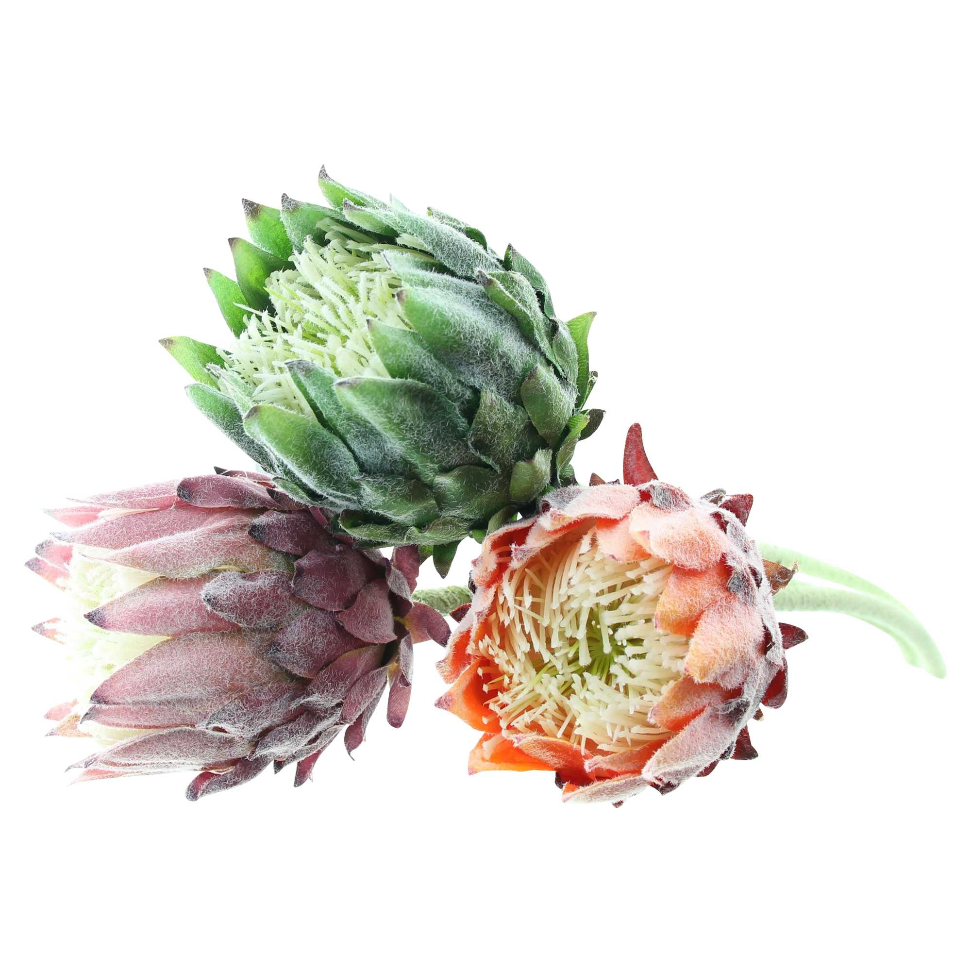 Acheter Lot de 3 fleurs "protea"  dans la boutique en ligne de Frank Flechtwaren pour Plantes artificielles