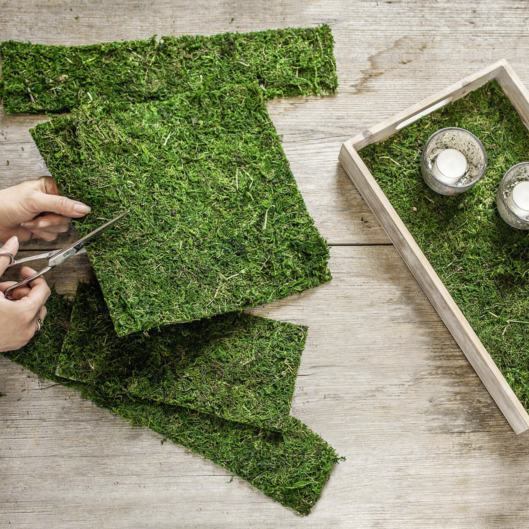 Acheter Tapis de décoration "mousse"  dans la boutique en ligne de Frank Flechtwaren