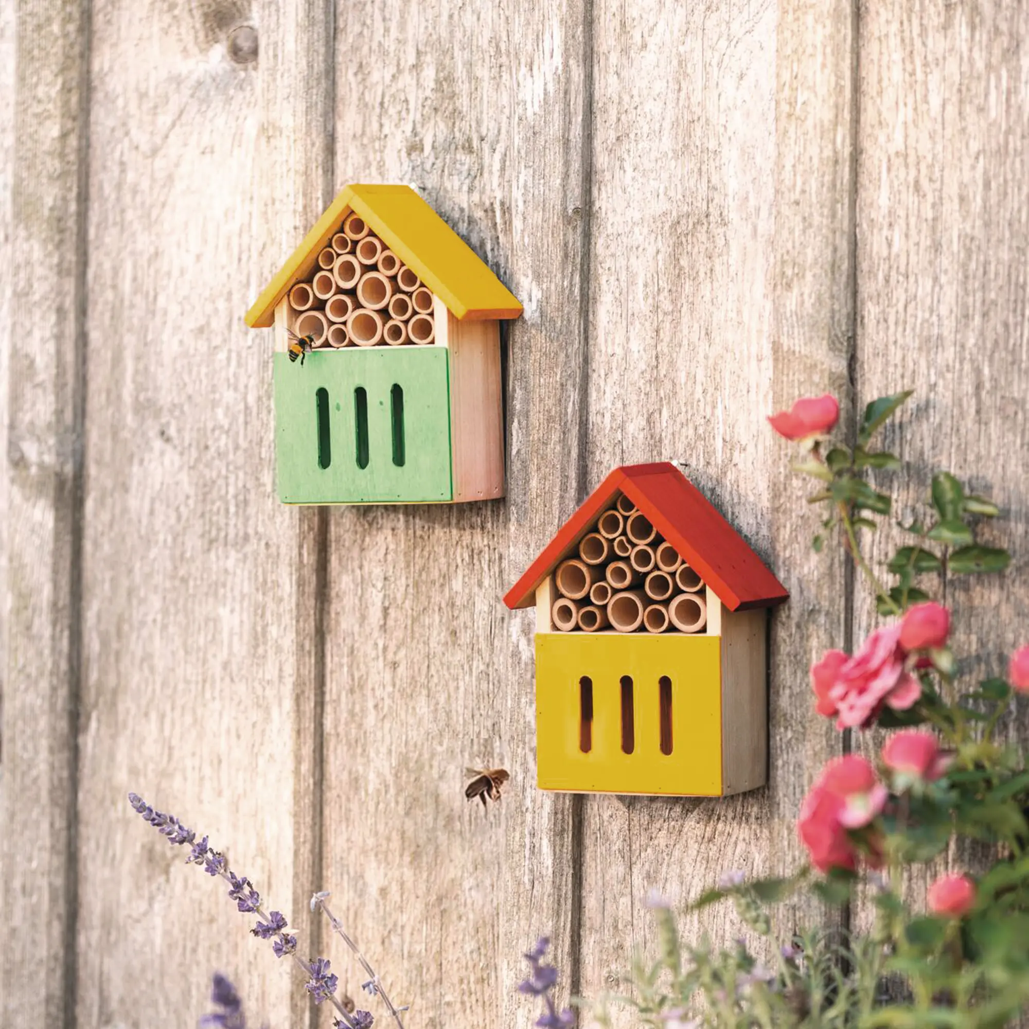 Acheter Hôtel pour insectes "Colors"  dans la boutique en ligne de Frank Flechtwaren