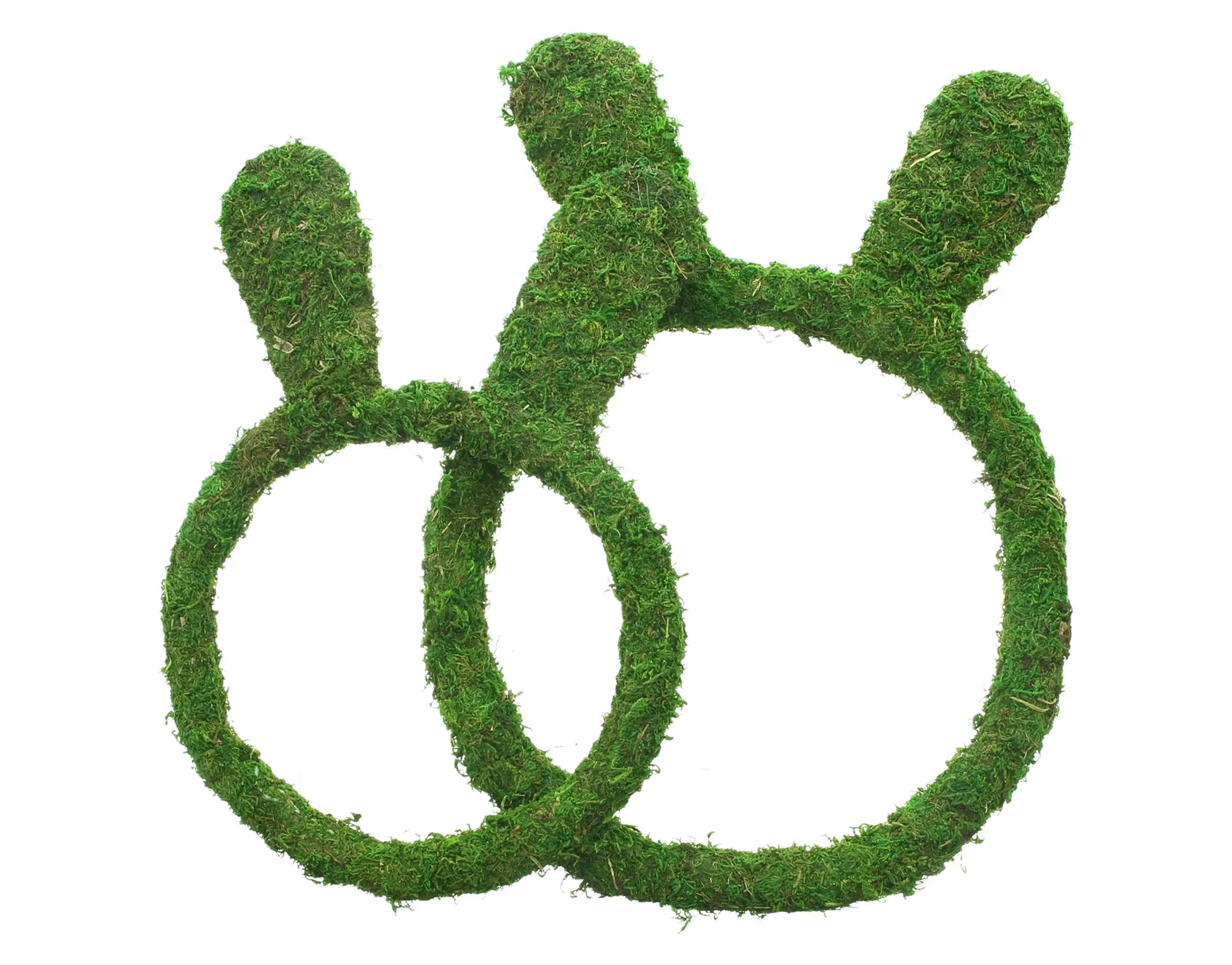 Acheter Lot de 2 anneaux décoratifs "lapin de Pâques"  dans la boutique en ligne de Frank Flechtwaren pour Jardin de Pâques coloré