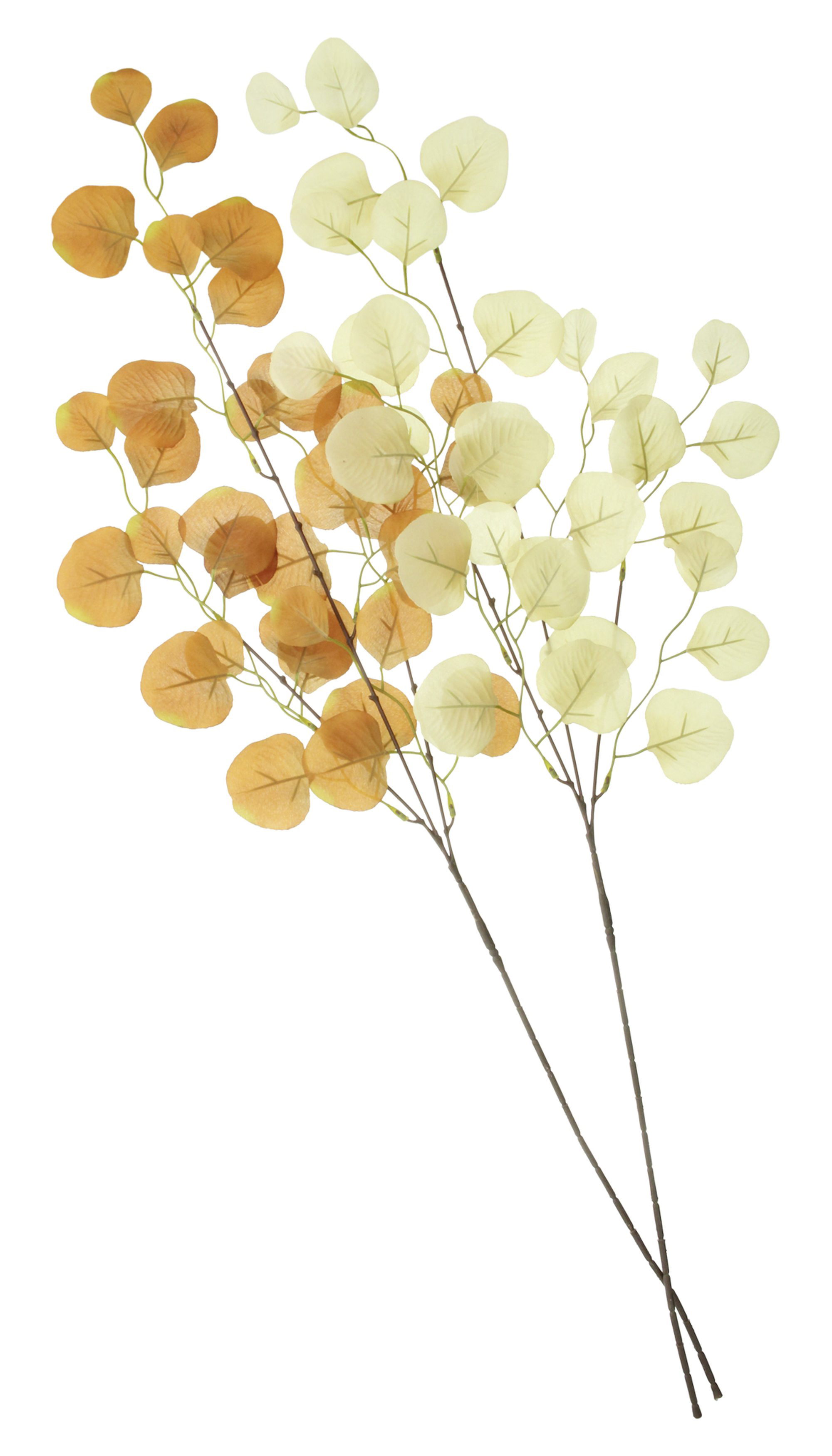 Acheter Lot de 2 plantes artificielles "branche feuillue"  dans la boutique en ligne de Frank Flechtwaren pour Automne
