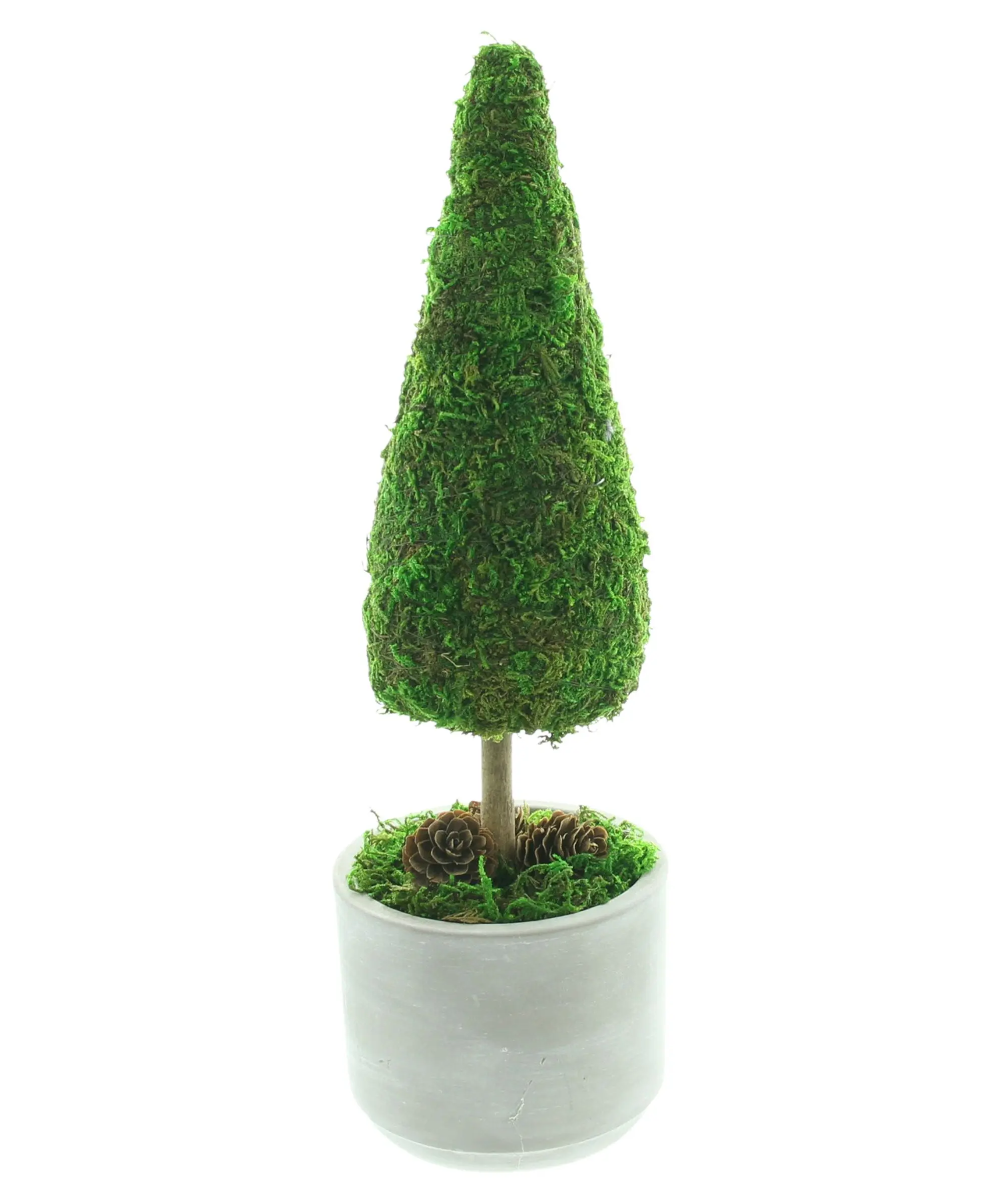 Acheter Sapin "mousse"  dans la boutique en ligne de Frank Flechtwaren pour Sapins