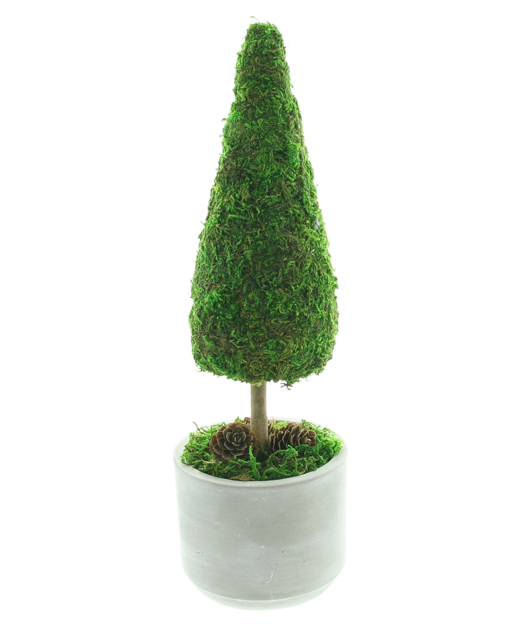 Acheter Sapin "mousse"  dans la boutique en ligne de Frank Flechtwaren pour Sapins