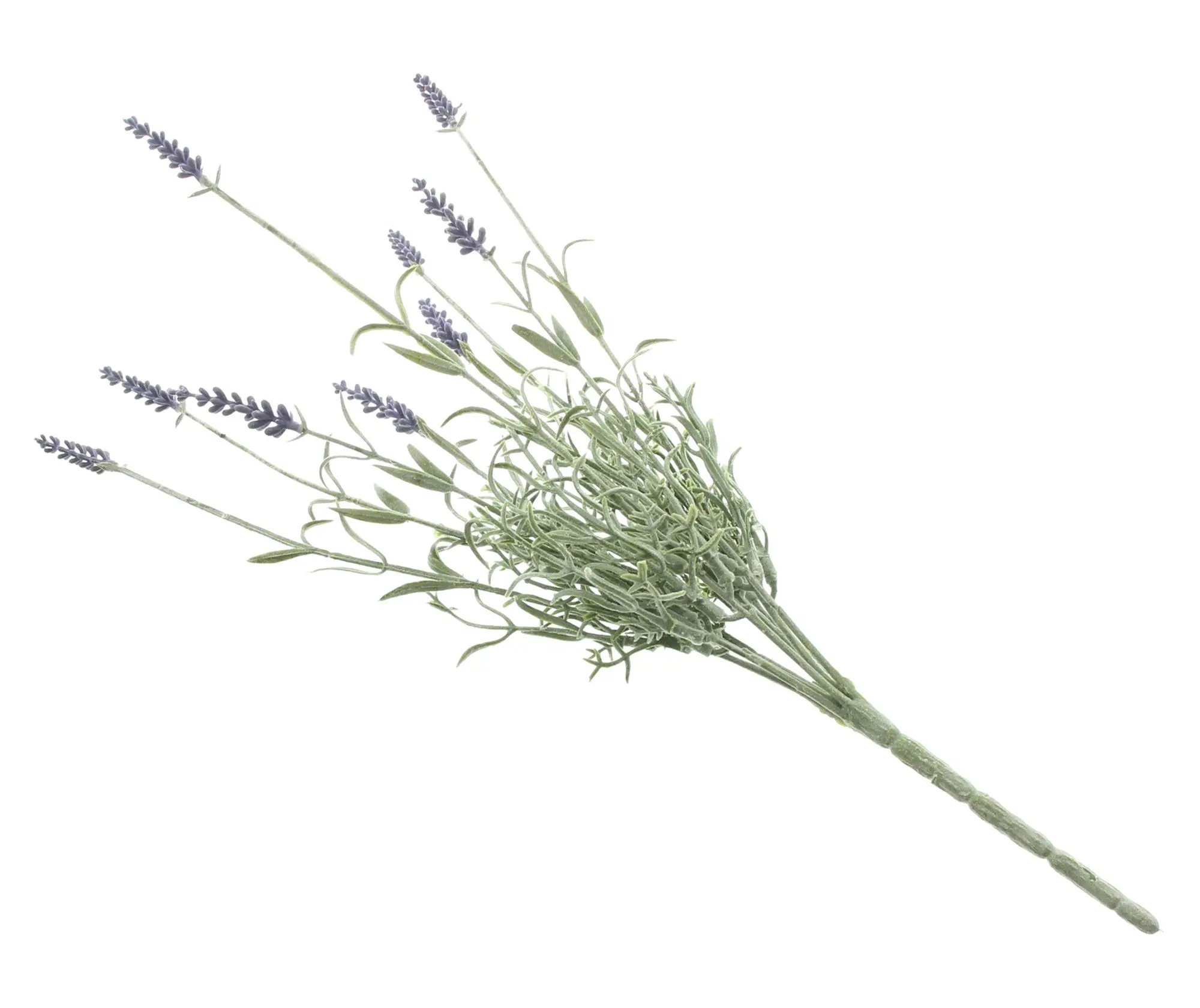 Acheter Fleur artificielle "Branches de lavande"  dans la boutique en ligne de Frank Flechtwaren pour Sorbet citron au