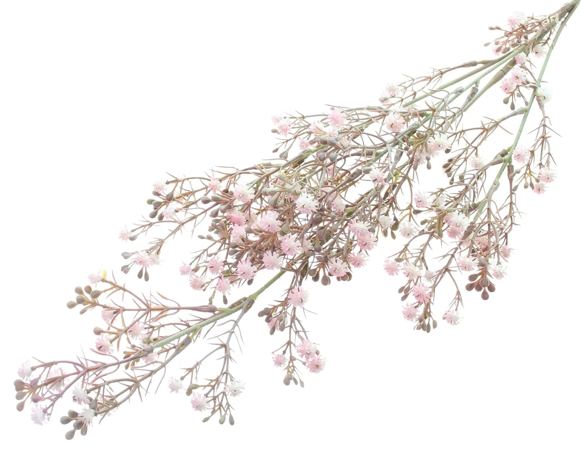 Acheter Lot de 2 plantes artificielles "Gypsophile" dans la boutique en ligne de Frank Flechtwaren pour Plantes artificielles Acheter Lot de 2 plantes artificielles "Gypsophile" dans la boutique en ligne de Frank Flechtwaren pour Plantes artificielles