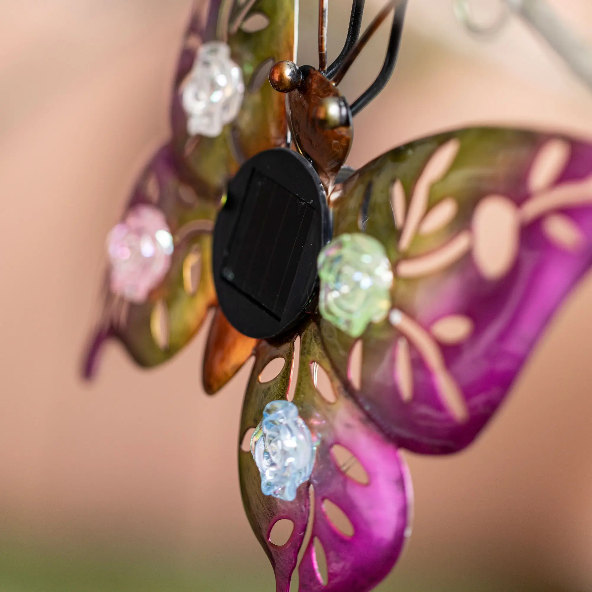 Acheter Lot de 2 décorations solaires "Butterfly &amp; Beetle"  dans la boutique en ligne de Frank Flechtwaren pour Décorations de table LED