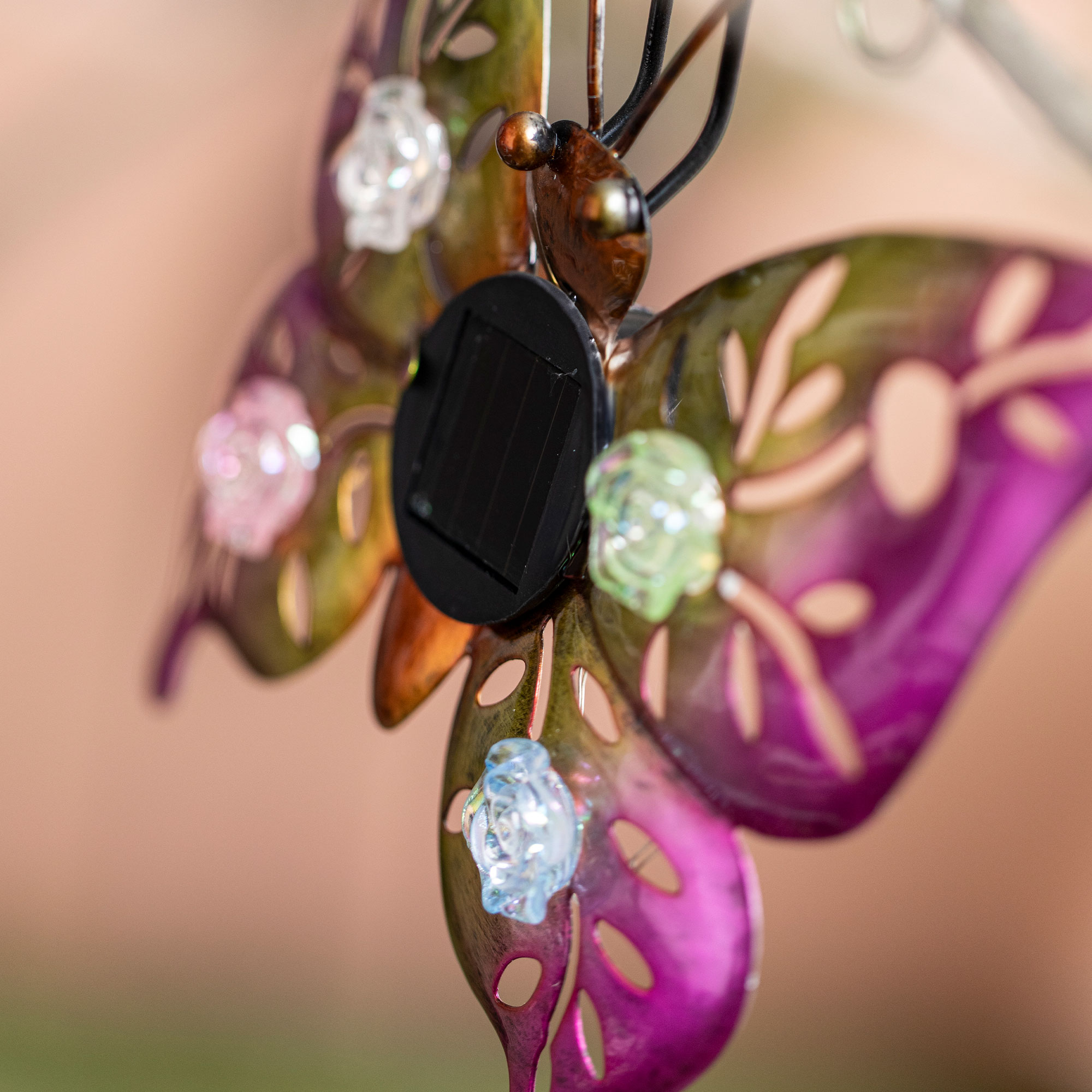 Acheter Lot de 2 décorations solaires "Butterfly &amp; Beetle"  dans la boutique en ligne de Frank Flechtwaren pour Décorations de table LED