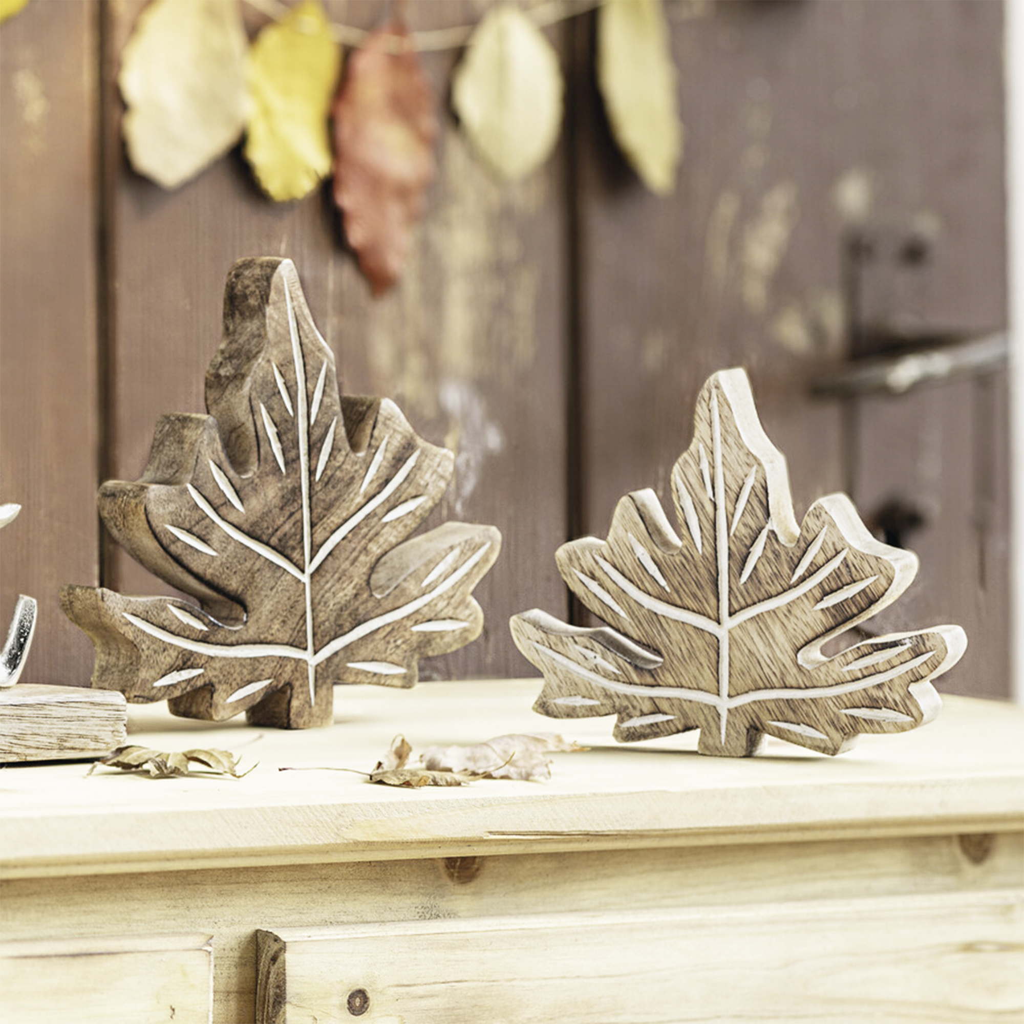 Acheter Lot de 2 feuilles de décoration "bois de manguier"  dans la boutique en ligne de Frank Flechtwaren