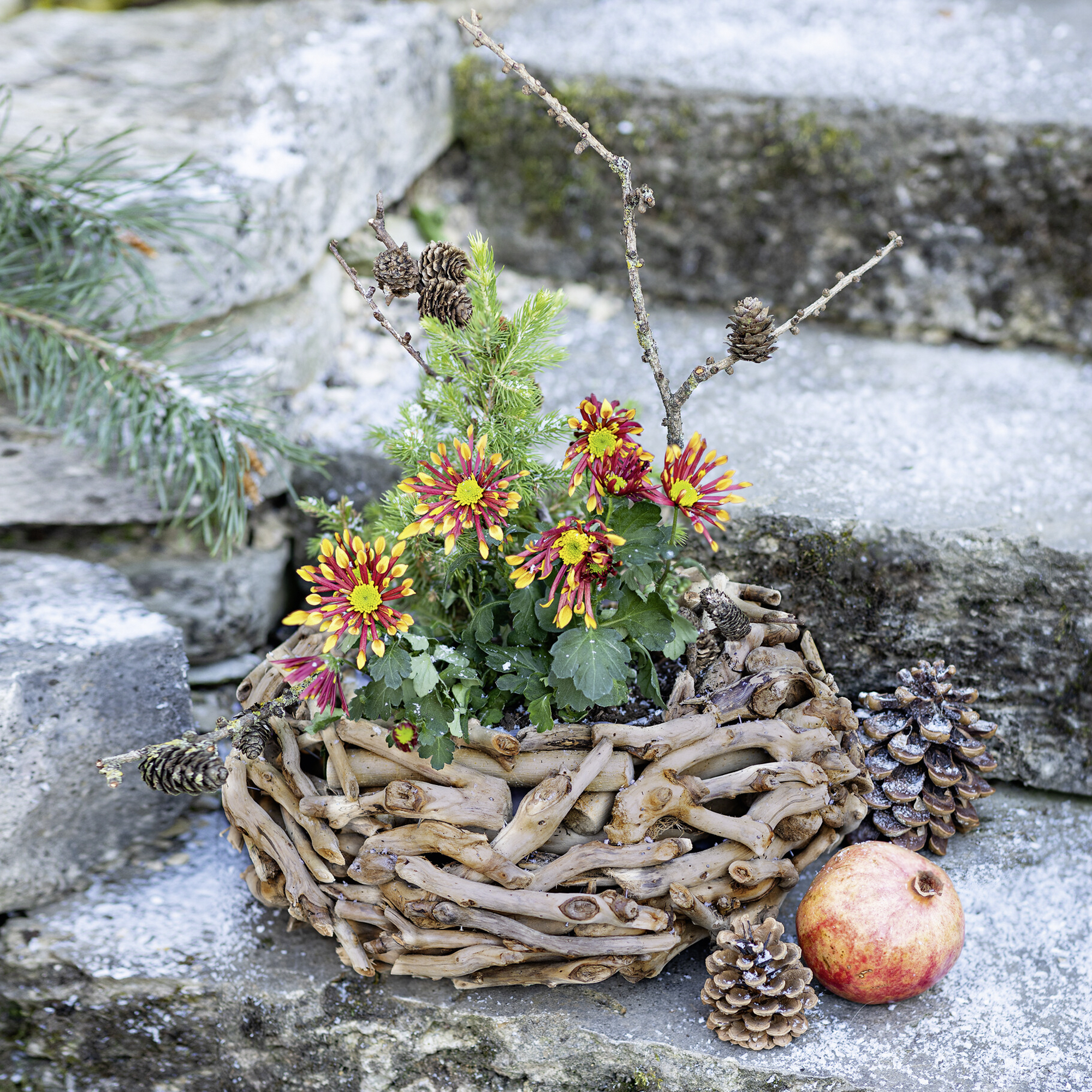 Acheter Jardinière "bois flotté" dans la boutique en ligne de Frank Flechtwaren pour Noël Acheter Jardinière "bois flotté" dans la boutique en ligne de Frank Flechtwaren pour Noël