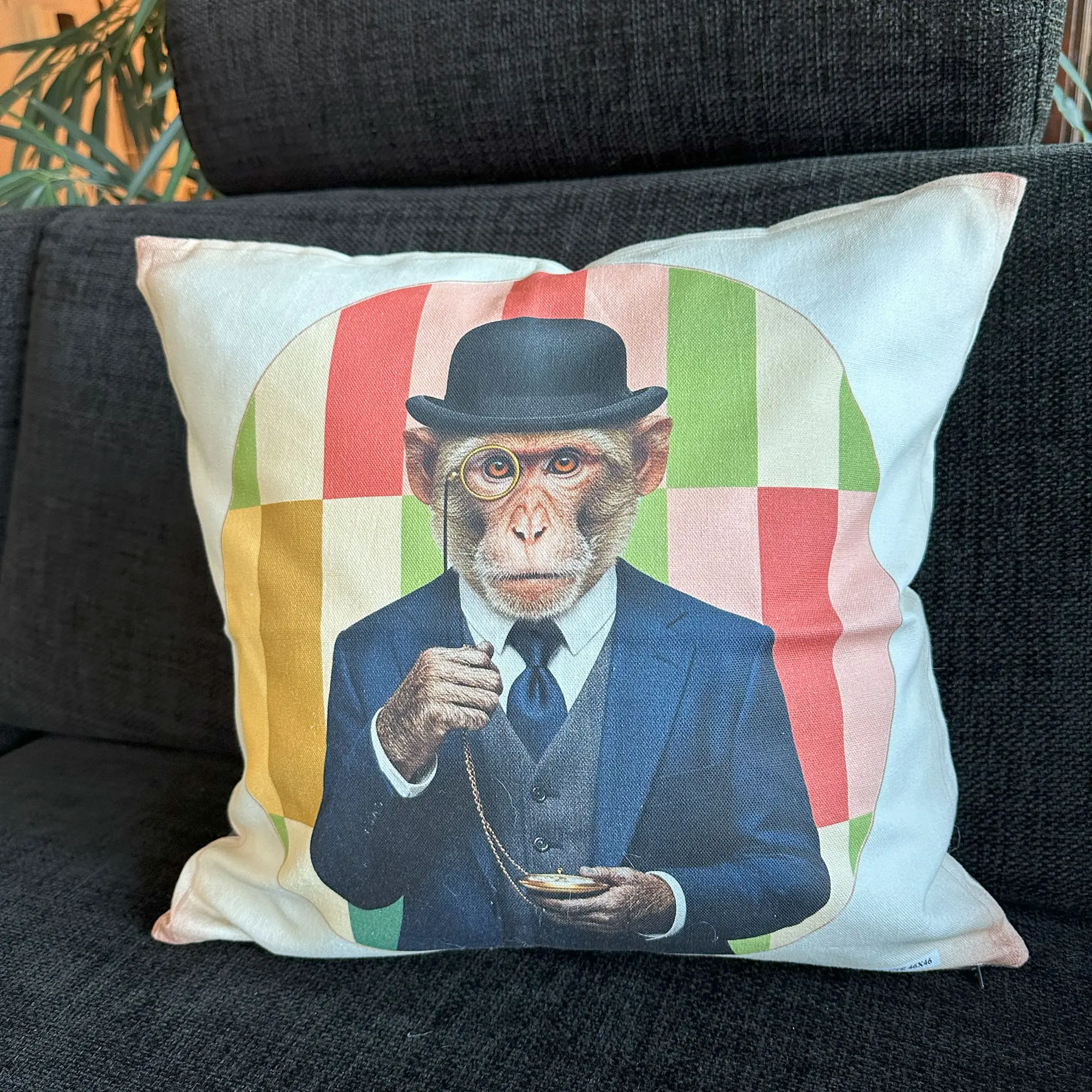 Acheter Housse de coussin "Monkey Charles"  dans la boutique en ligne de Frank Flechtwaren pour Remplissages