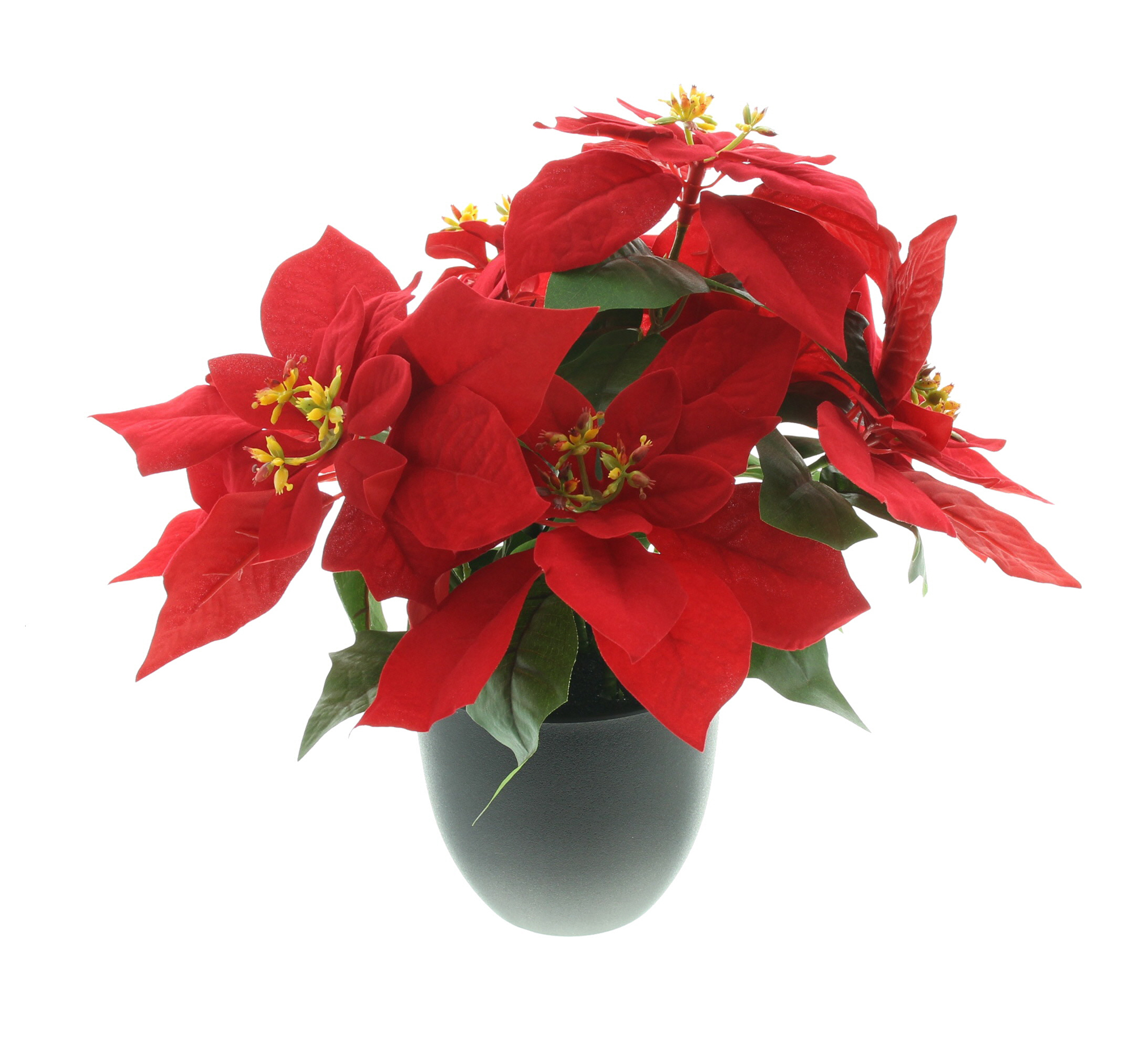 Acheter Fleur artificielle "grand poinsettia"  dans la boutique en ligne de Frank Flechtwaren pour Noël
