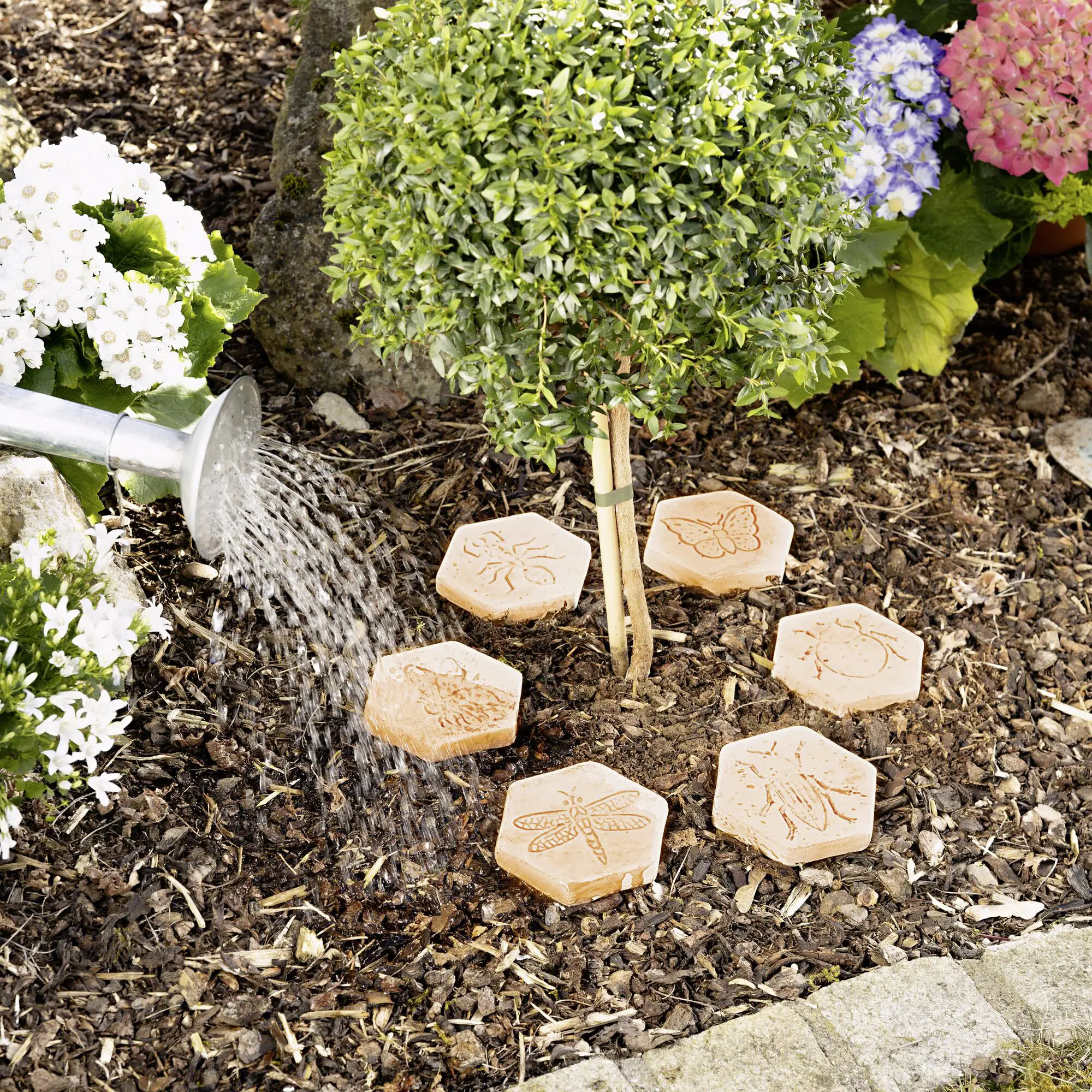 Acheter 6 galets anti-évaporation "Amour du jardin" dans la boutique en ligne de Frank Flechtwaren pour Pots de fleurs Acheter 6 galets anti-évaporation "Amour du jardin" dans la boutique en ligne de Frank Flechtwaren pour Pots de fleurs