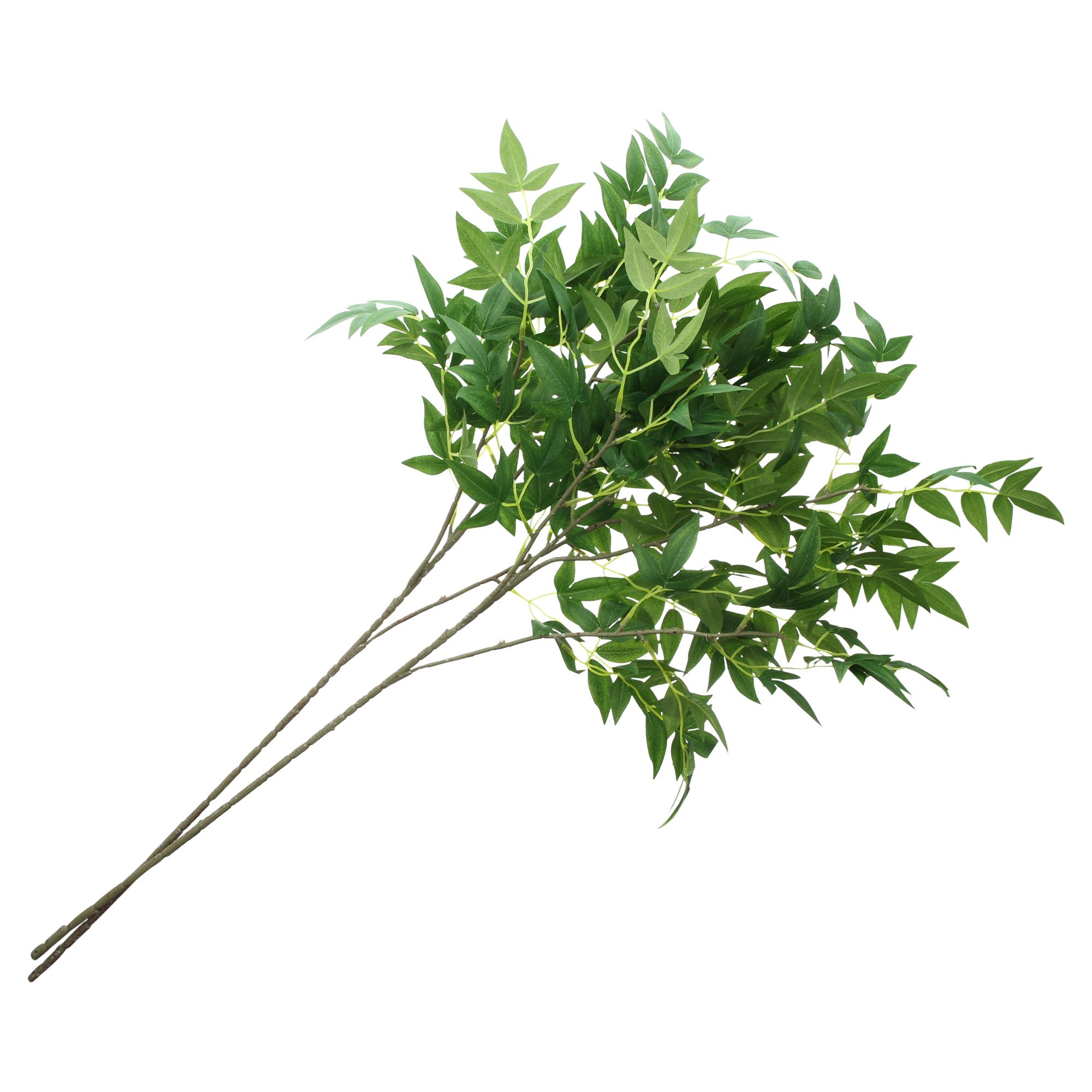 Acheter Branche artificielle « Feuilles vertes », lot de 2 dans la boutique en ligne de Frank Flechtwaren pour Promenade en forêt