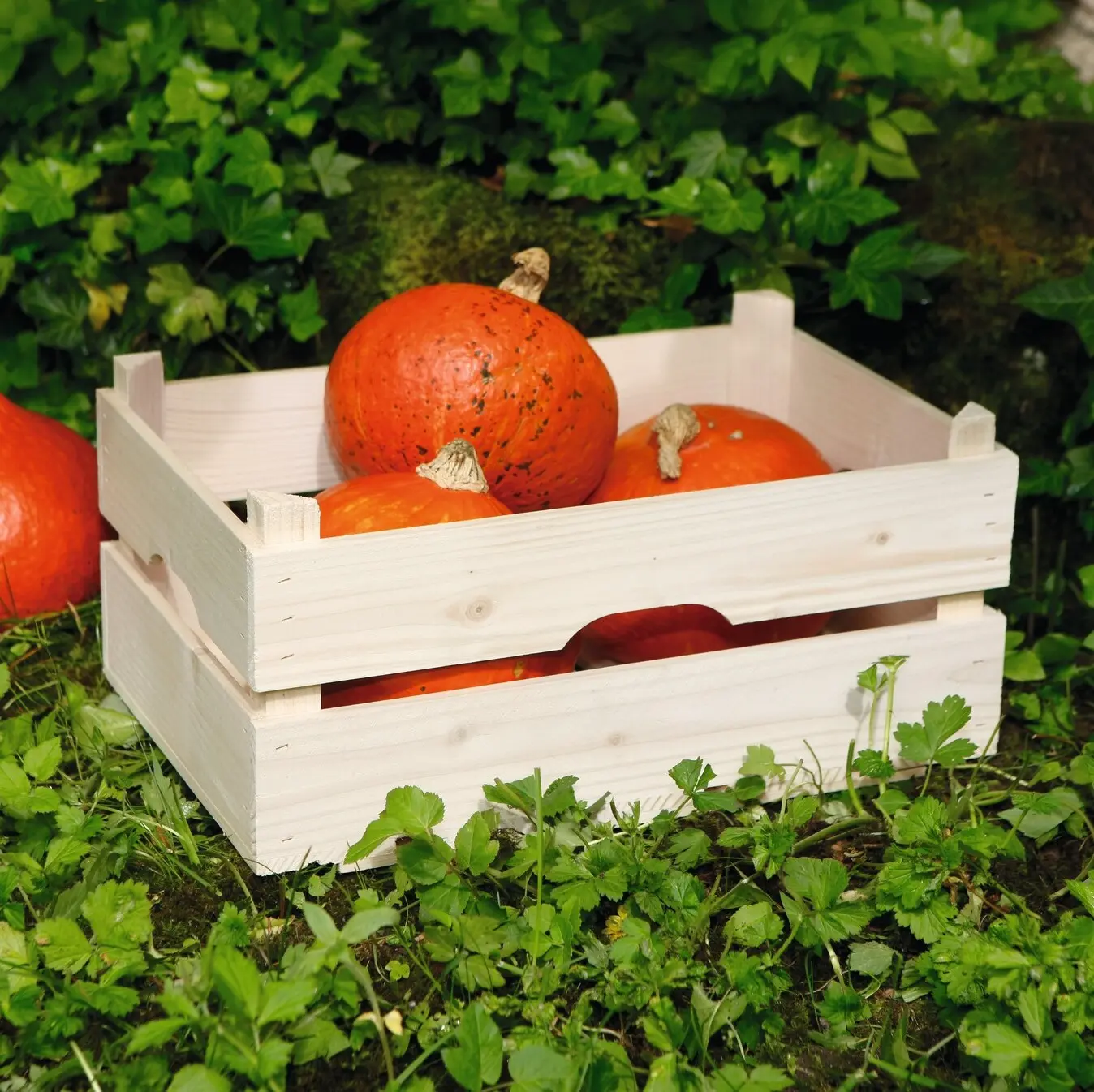 Acheter Cageot en bois "nature"  dans la boutique en ligne de Frank Flechtwaren