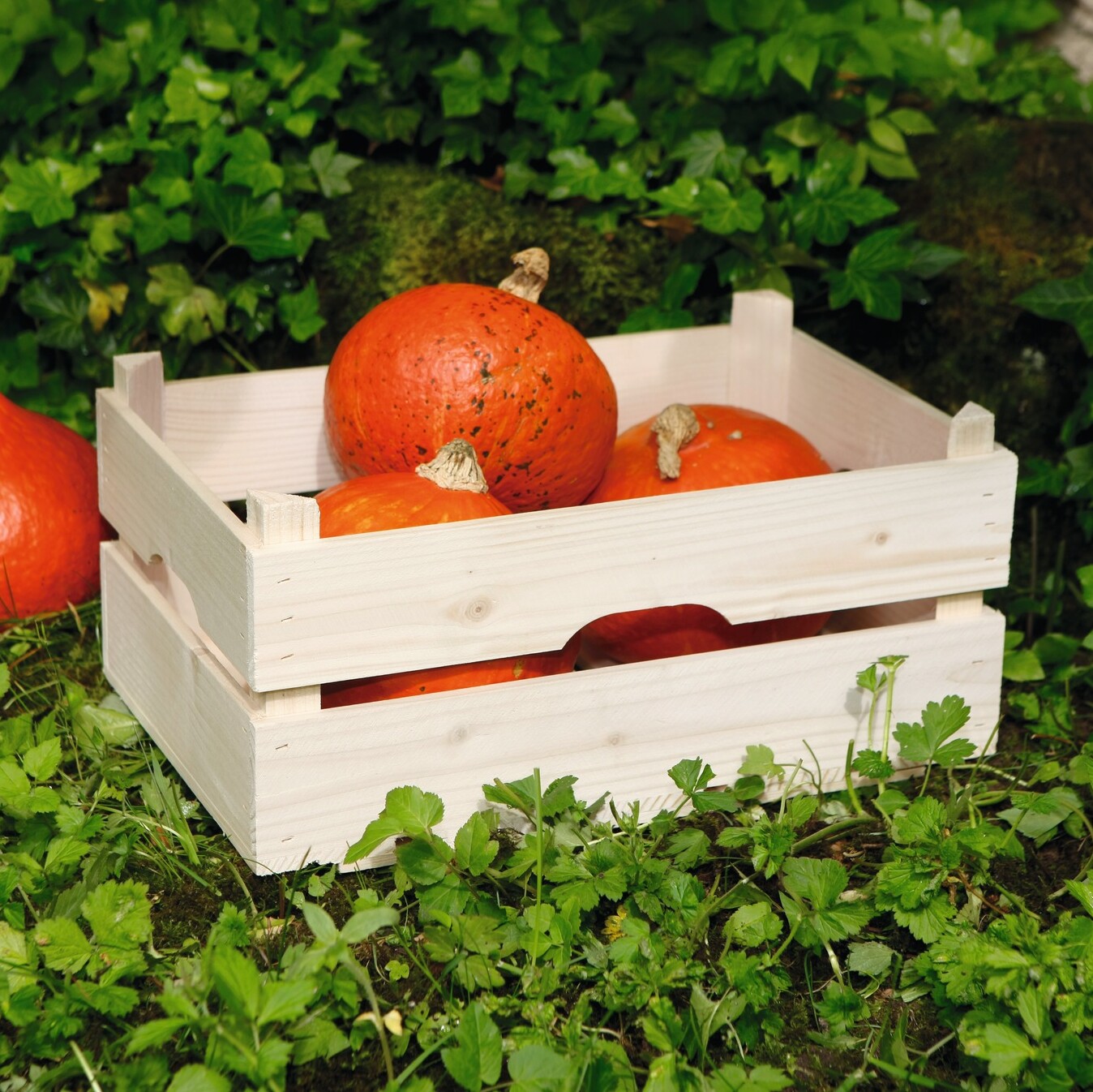 Acheter Cageot en bois "nature"  dans la boutique en ligne de Frank Flechtwaren