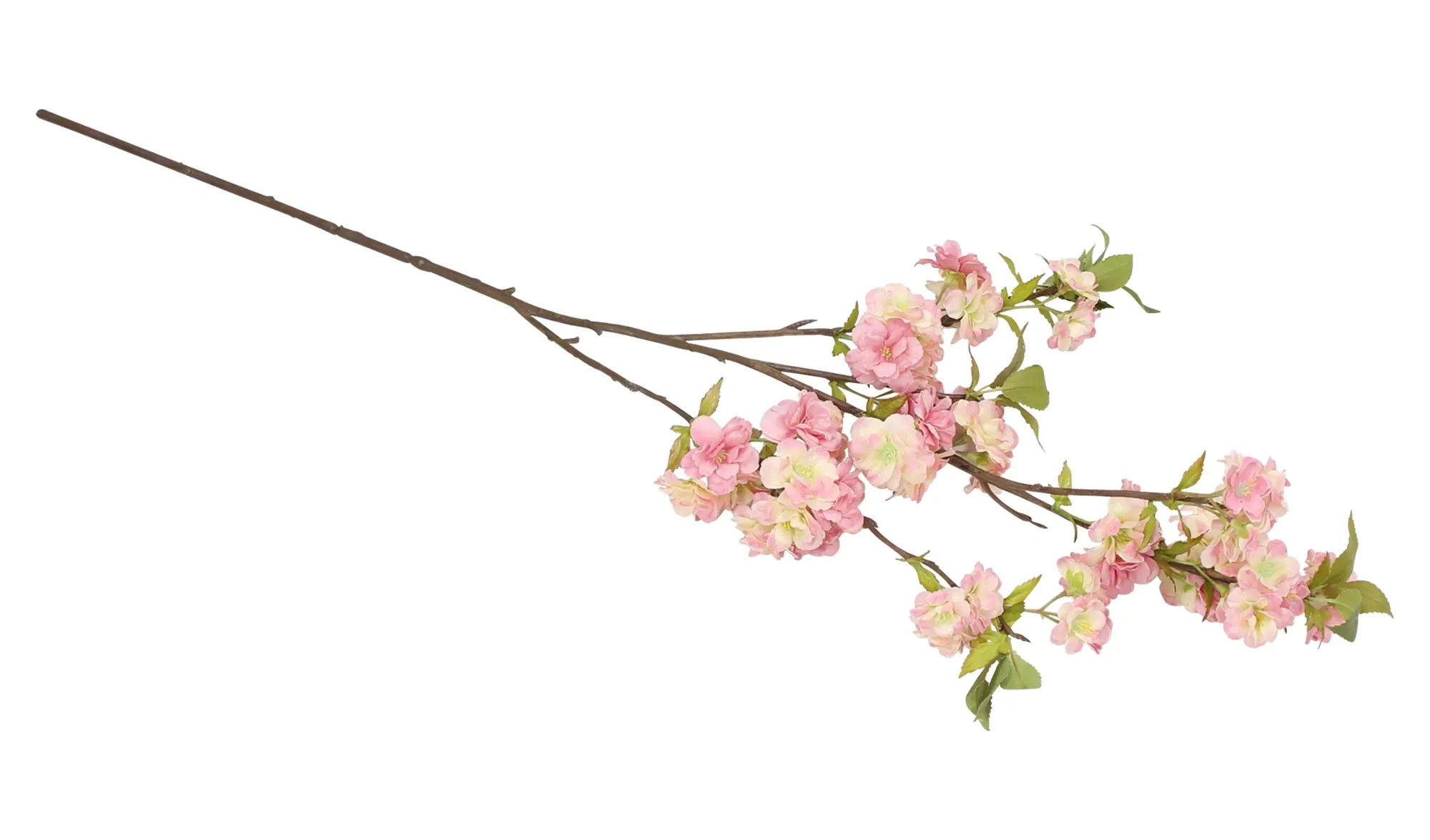 Acheter Fleur artificielle, grande  dans la boutique en ligne de Frank Flechtwaren pour Tons pastel