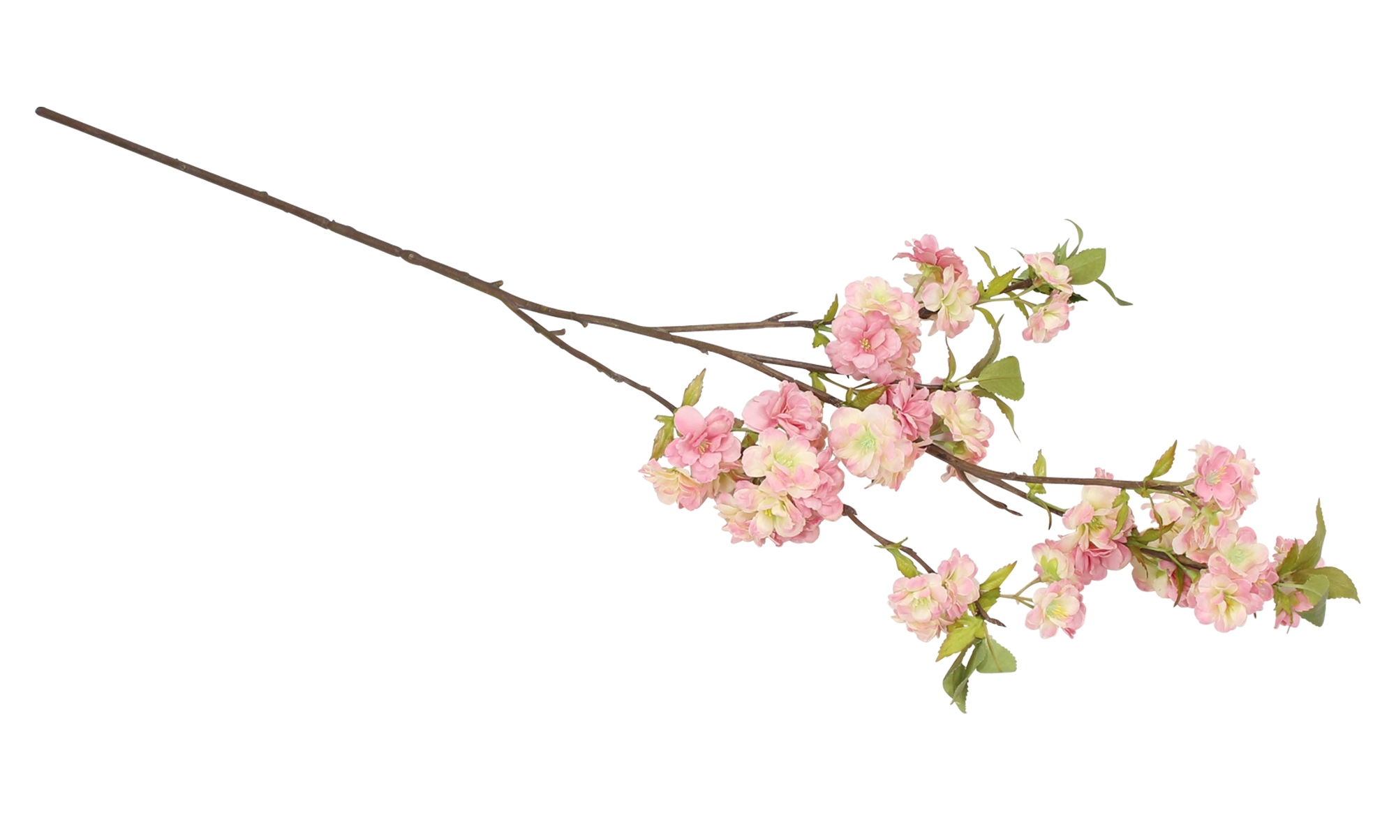 Acheter Fleur artificielle, grande  dans la boutique en ligne de Frank Flechtwaren pour Couronnes