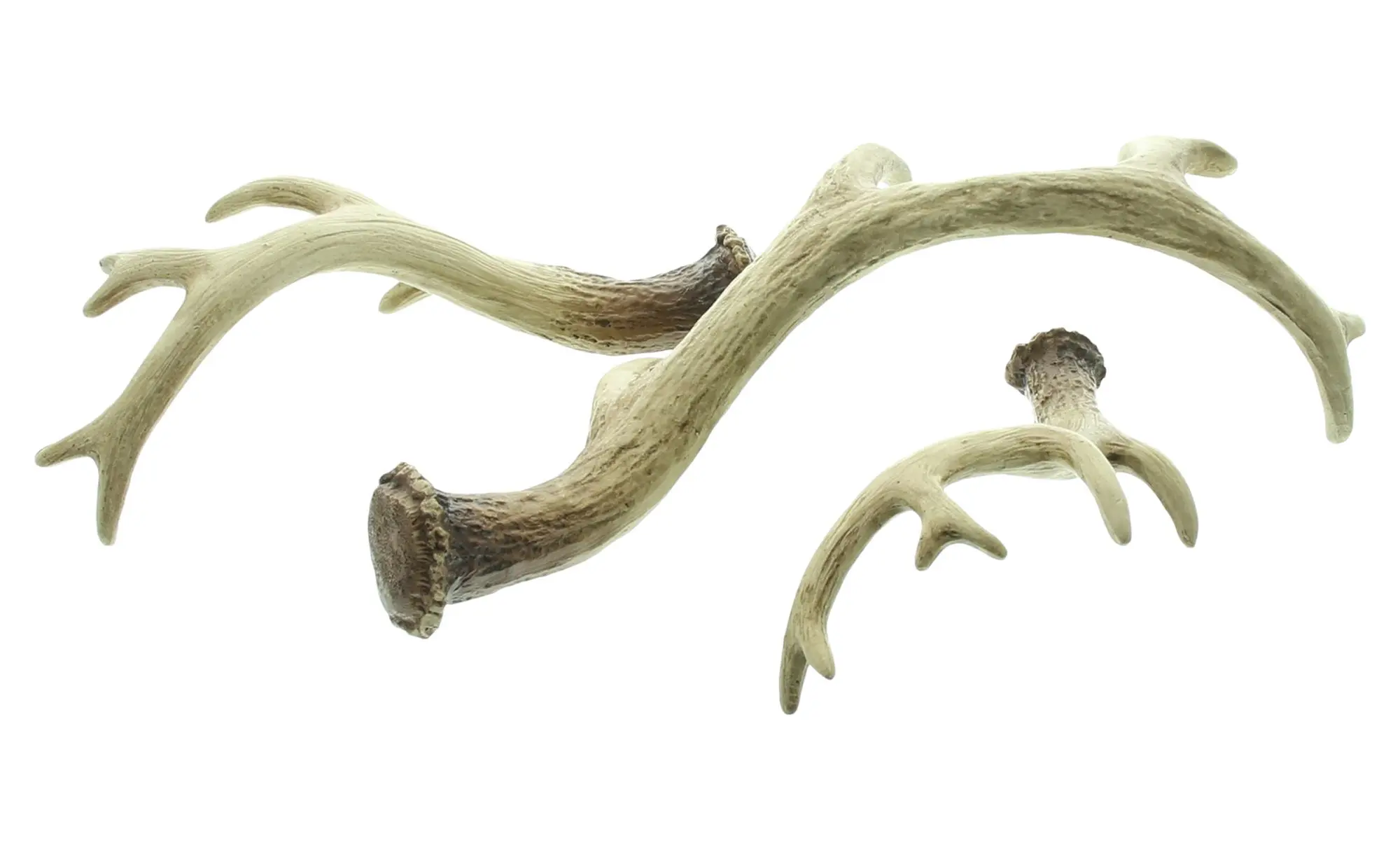 Acheter Bois décoratifs « Nature », lot de 3 dans la boutique en ligne de Frank Flechtwaren pour Promenade en forêt