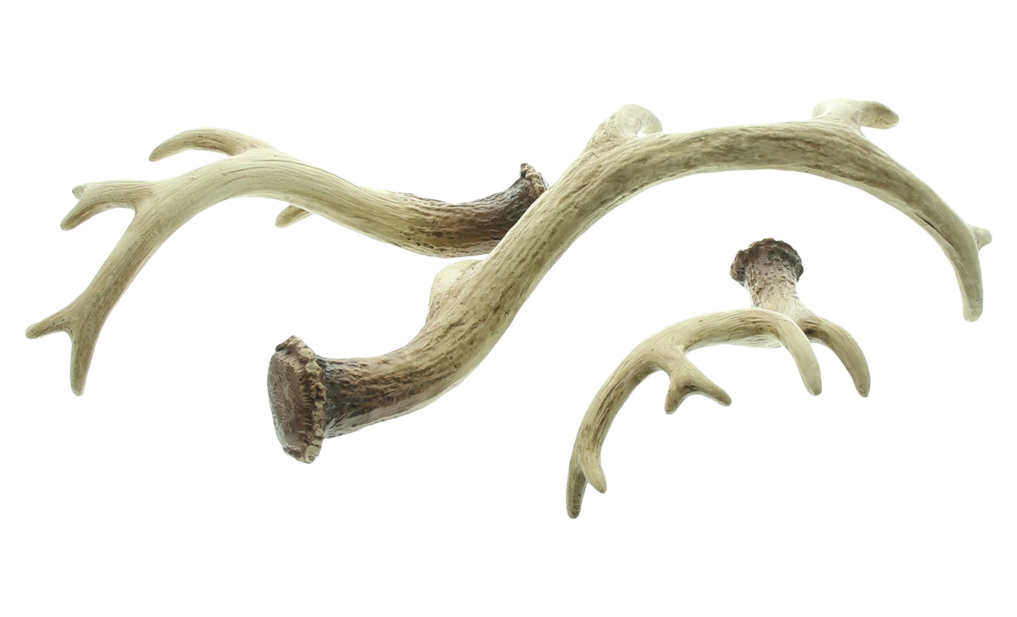 Acheter Bois décoratifs « Nature », lot de 3 dans la boutique en ligne de Frank Flechtwaren pour Promenade en forêt