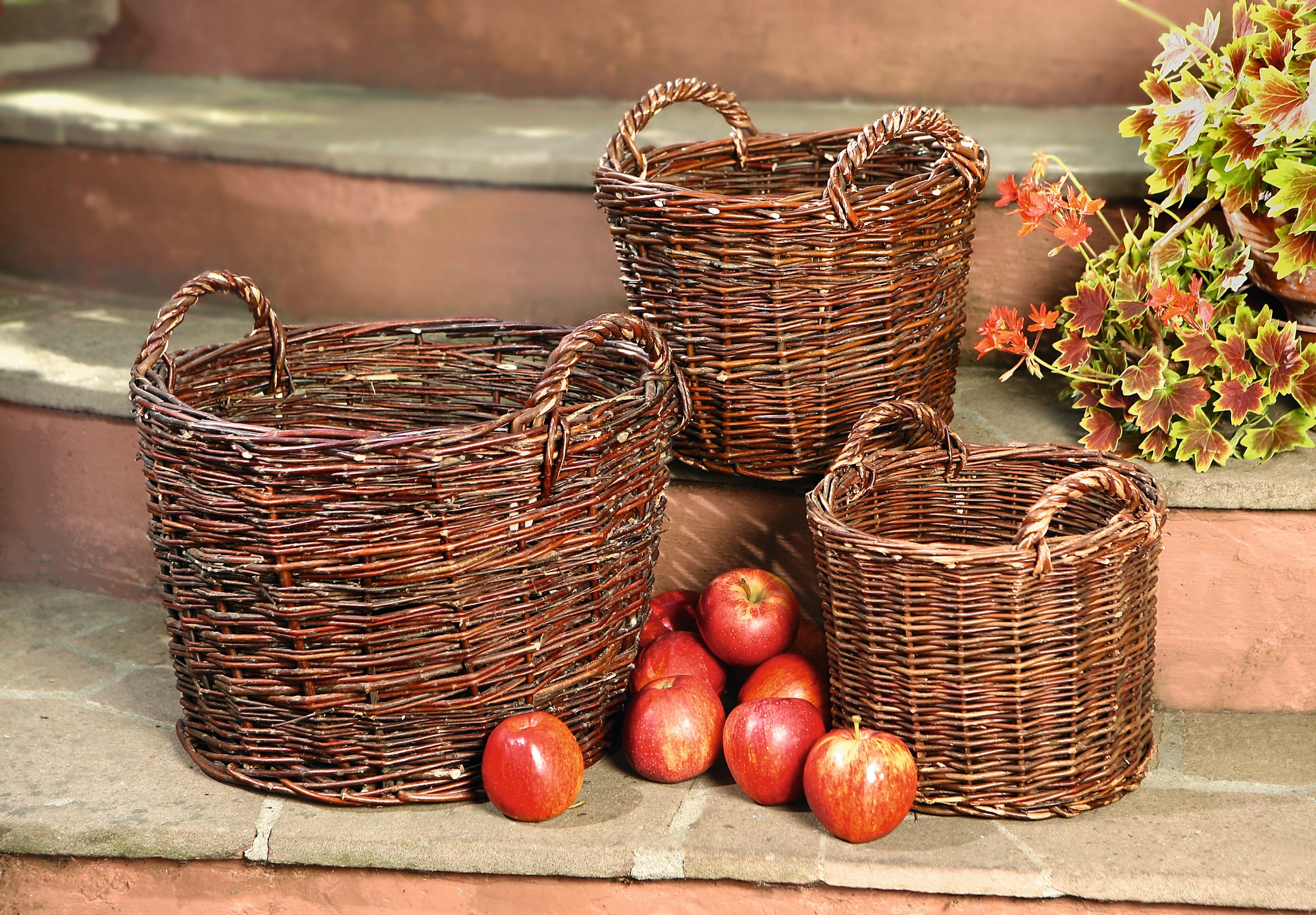 Acheter Corbeille "rustique", GM  dans la boutique en ligne de Frank Flechtwaren pour Paniers de remplissage &amp; universels