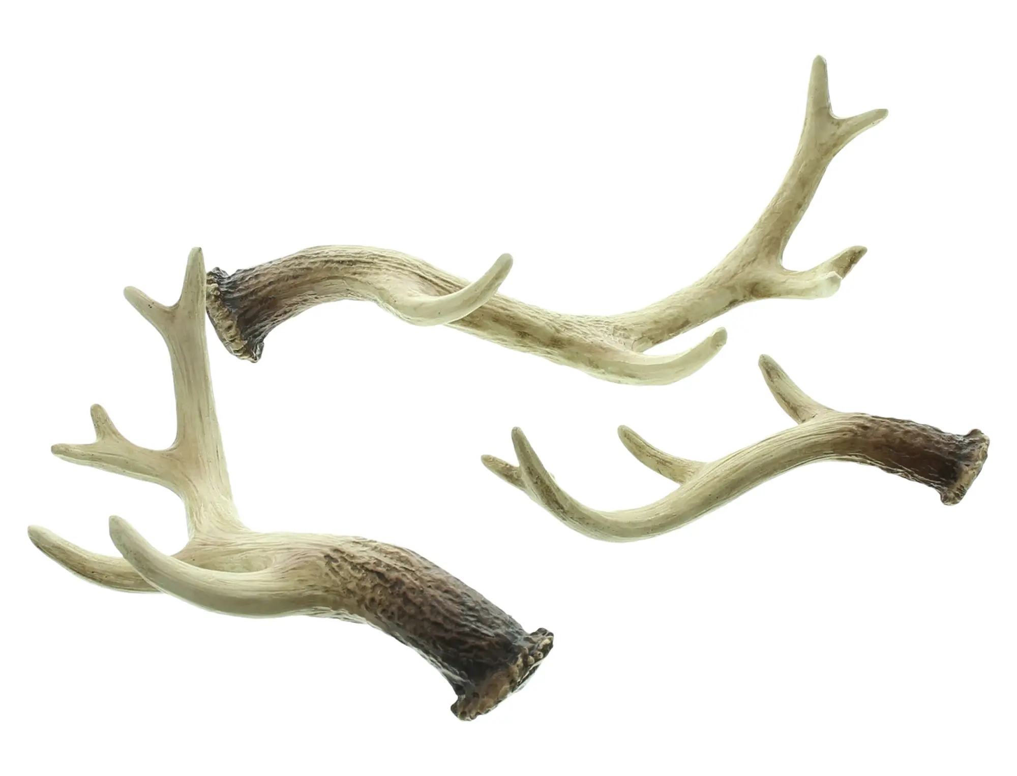 Acheter Bois décoratifs « Nature », lot de 3 dans la boutique en ligne de Frank Flechtwaren pour Promenade en forêt